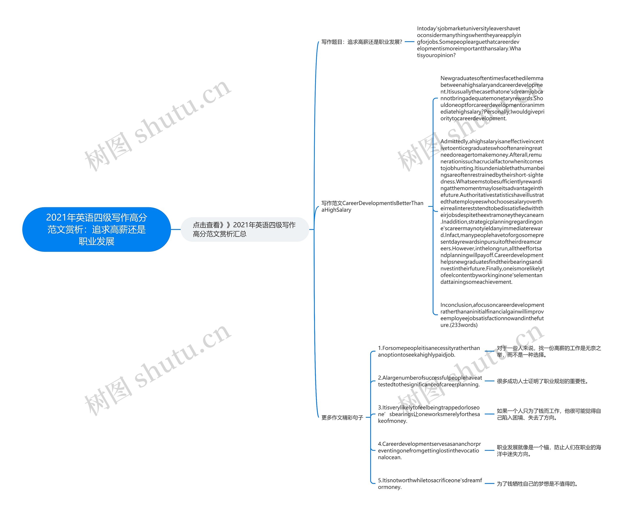 2021年英语四级写作高分范文赏析：追求高薪还是职业发展思维导图