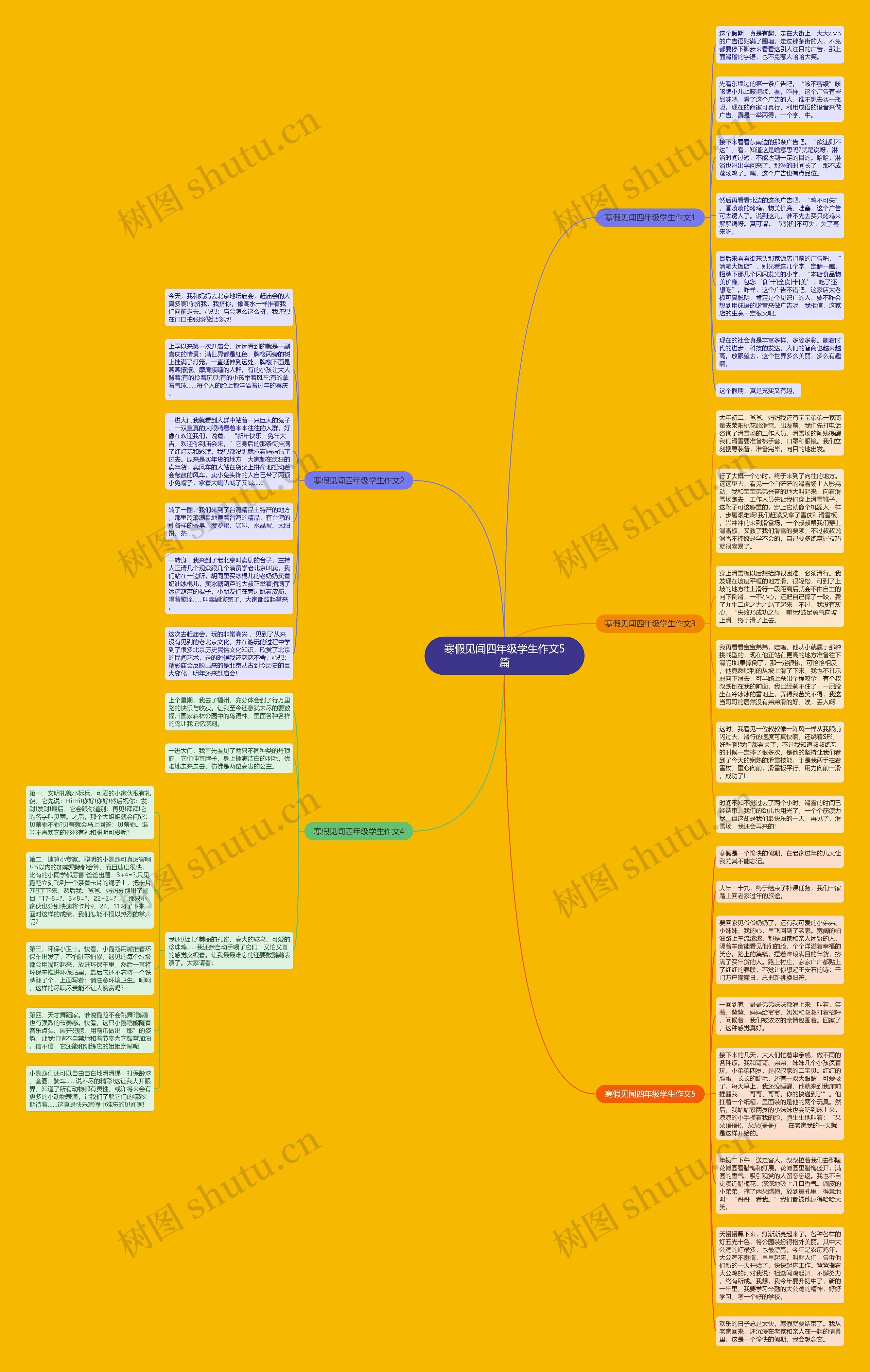 寒假见闻四年级学生作文5篇思维导图