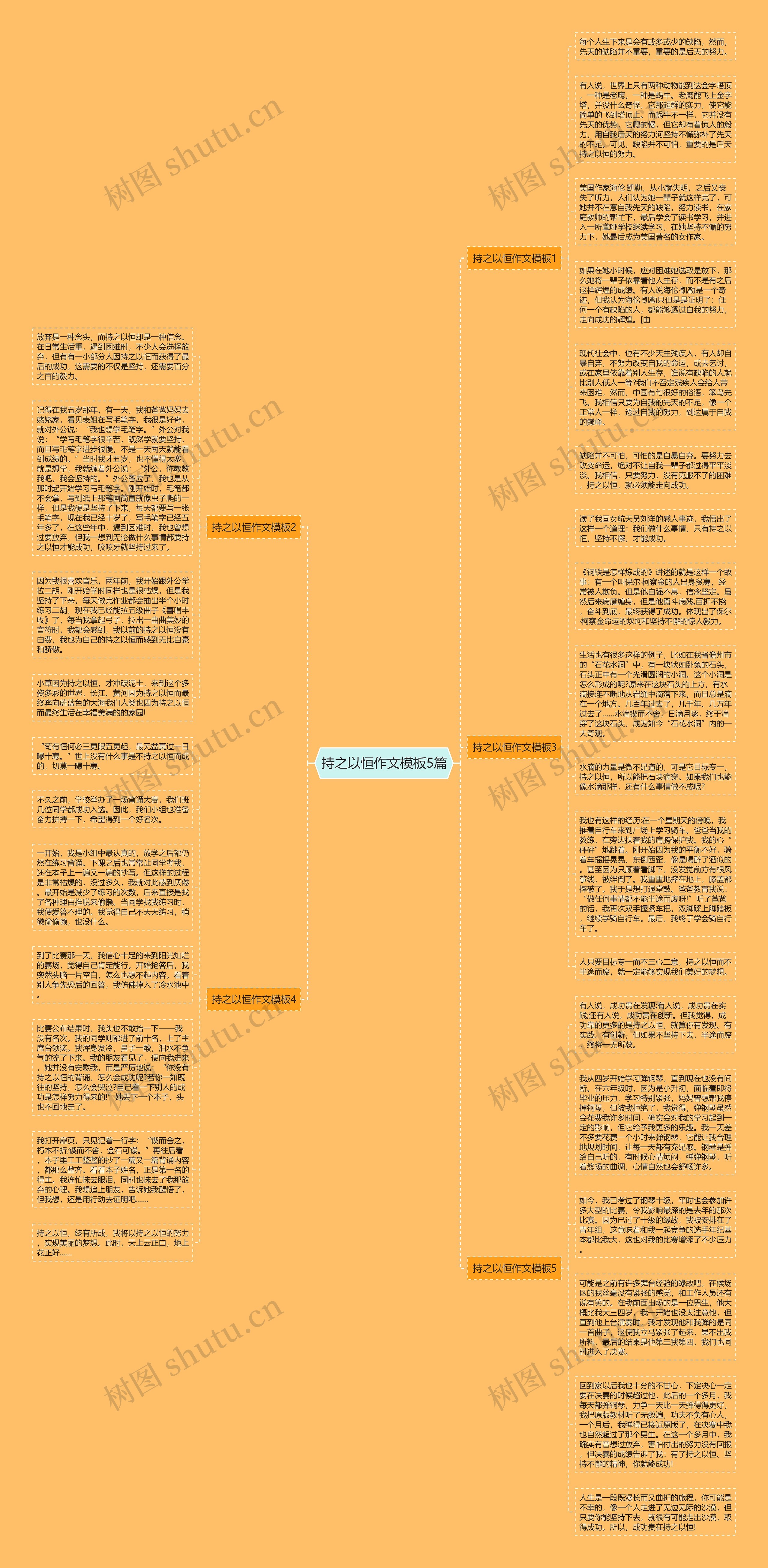 持之以恒作文5篇思维导图