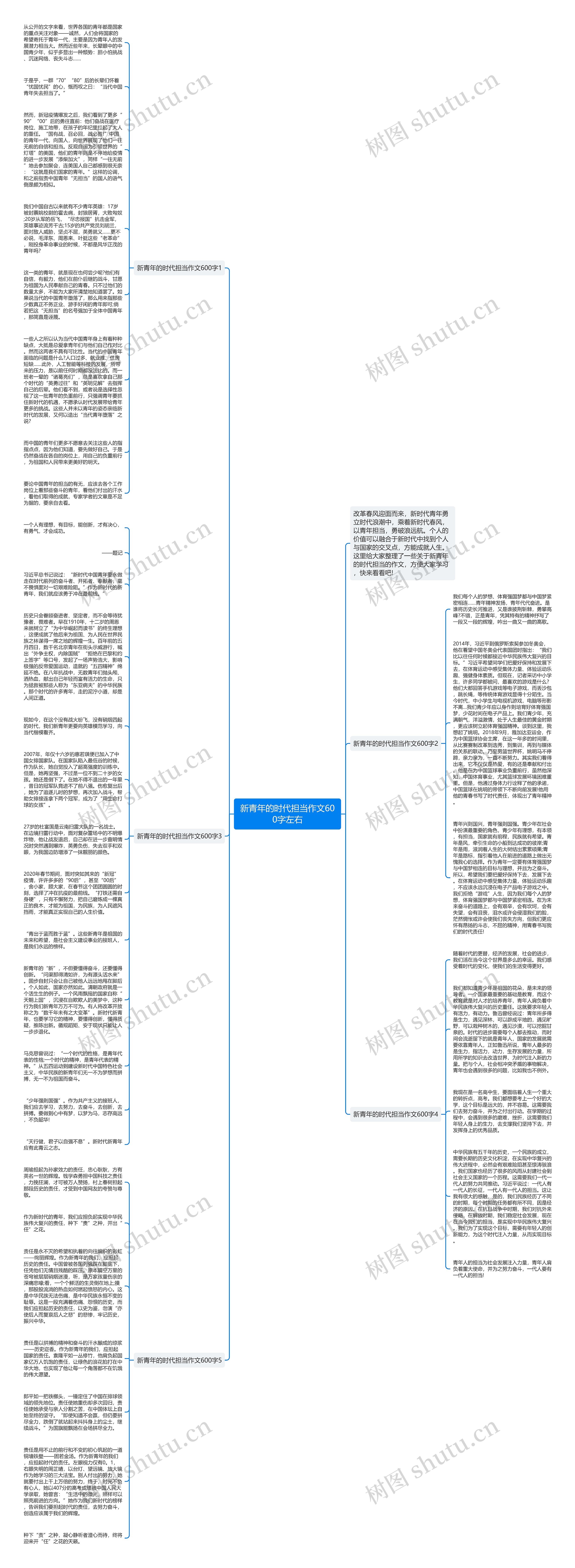 新青年的时代担当作文600字左右思维导图