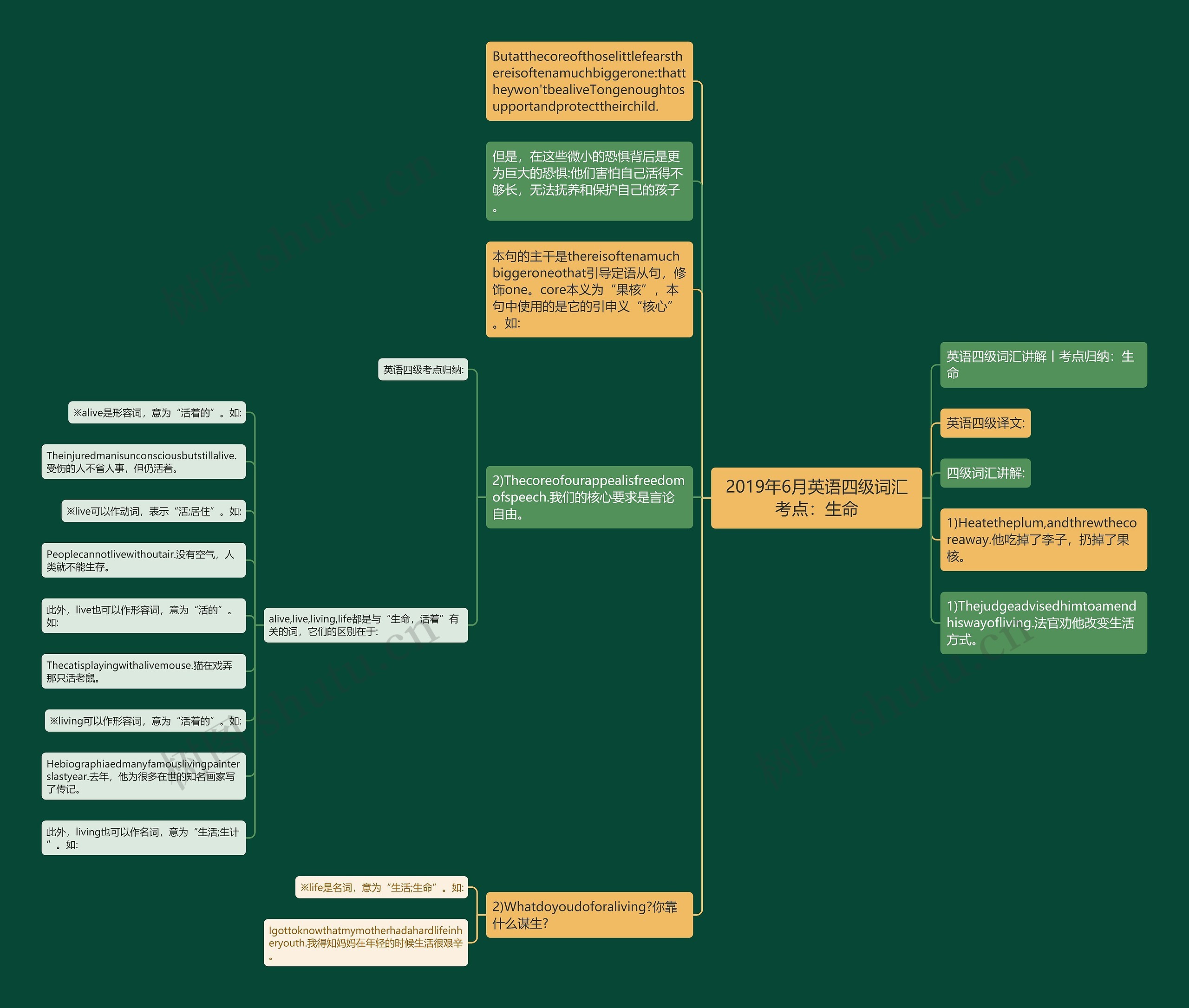 2019年6月英语四级词汇考点：生命思维导图