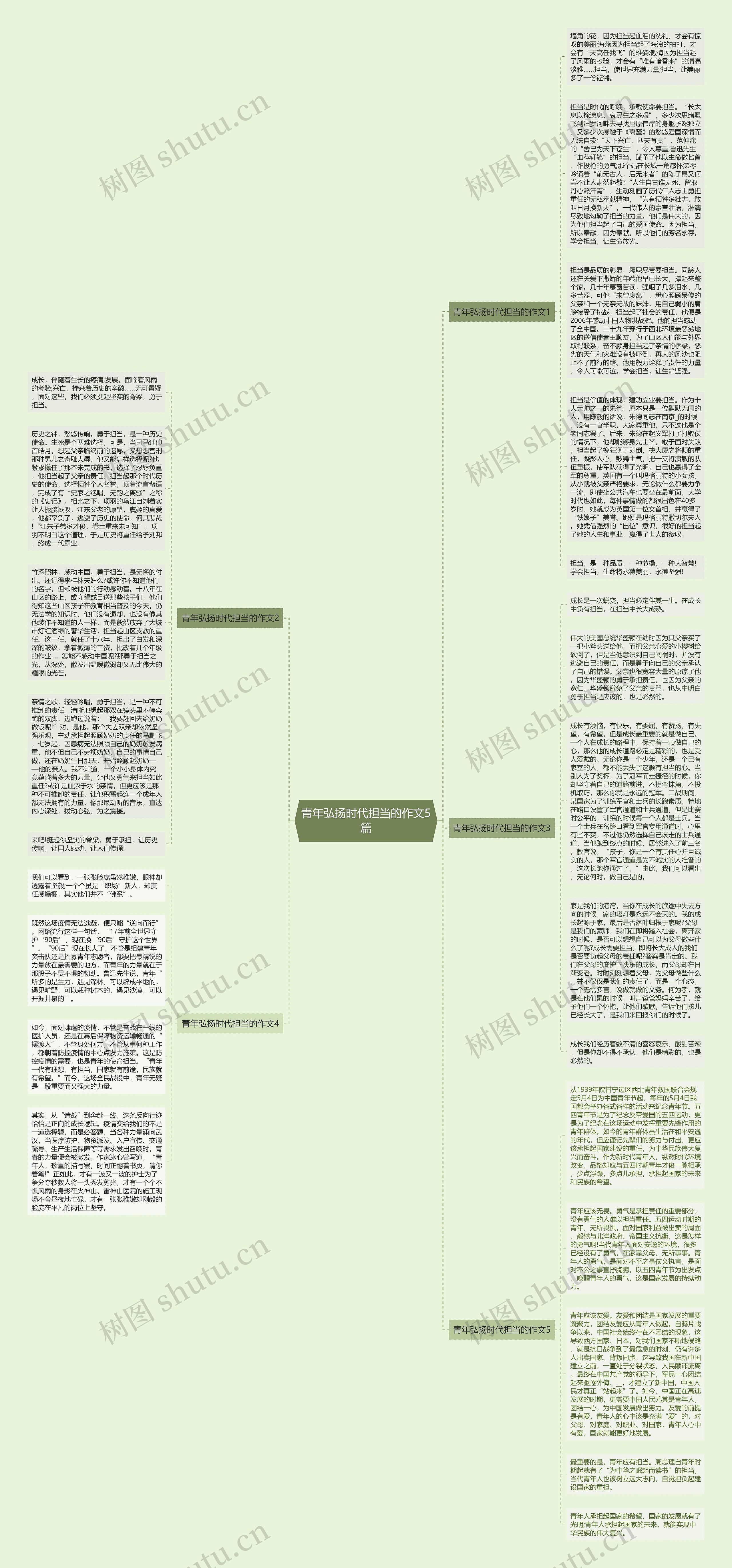 青年弘扬时代担当的作文5篇思维导图