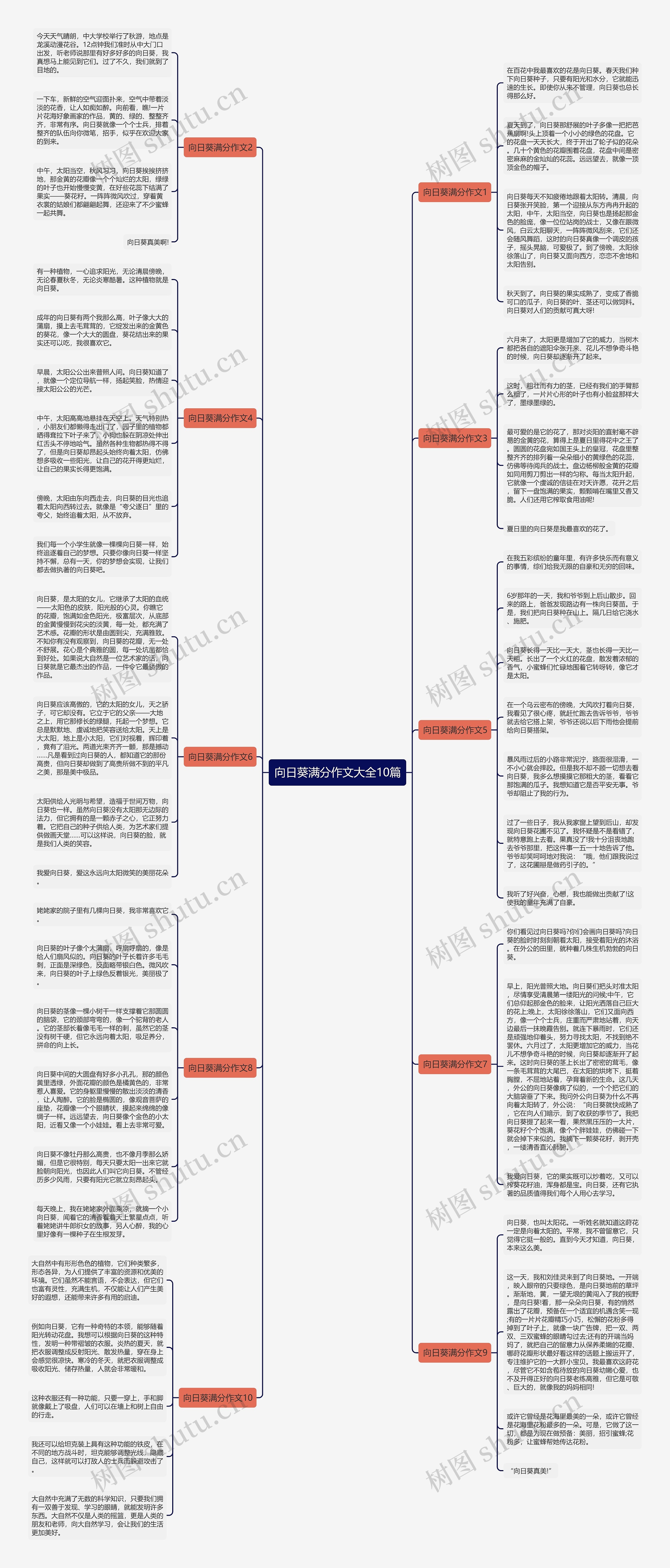 向日葵满分作文大全10篇思维导图