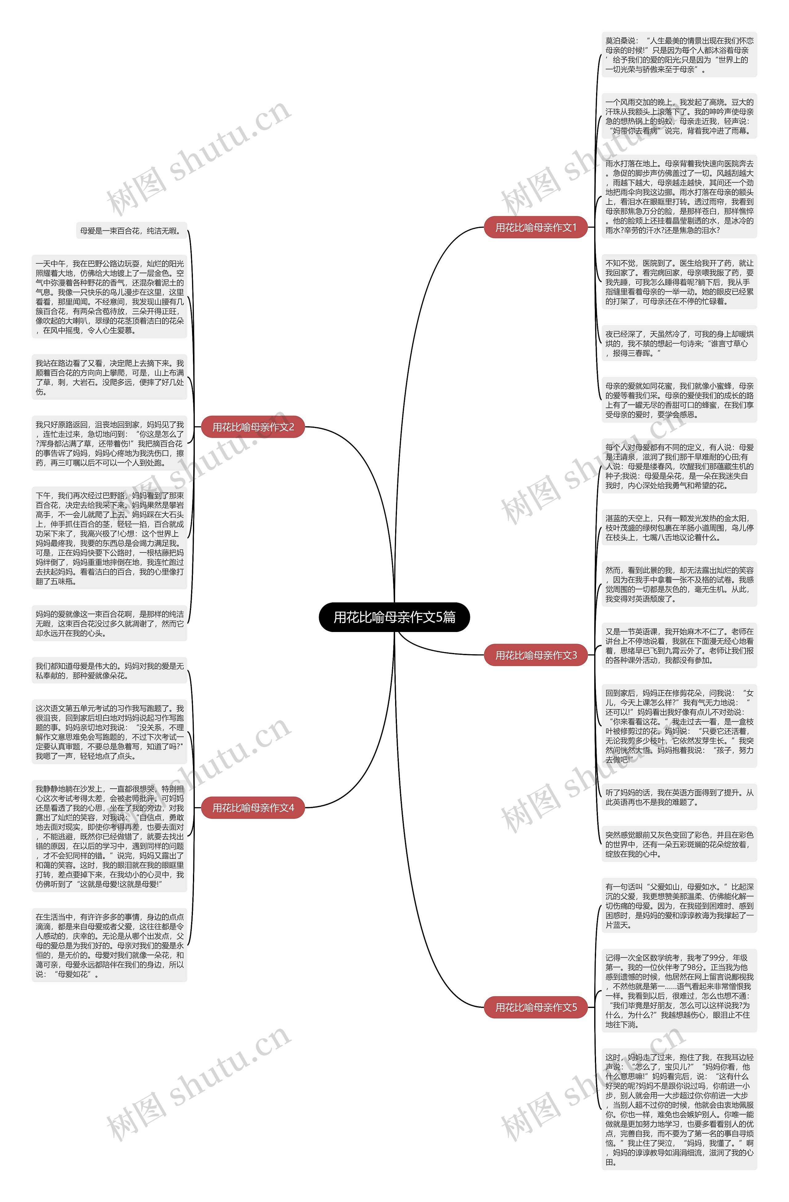 用花比喻母亲作文5篇思维导图