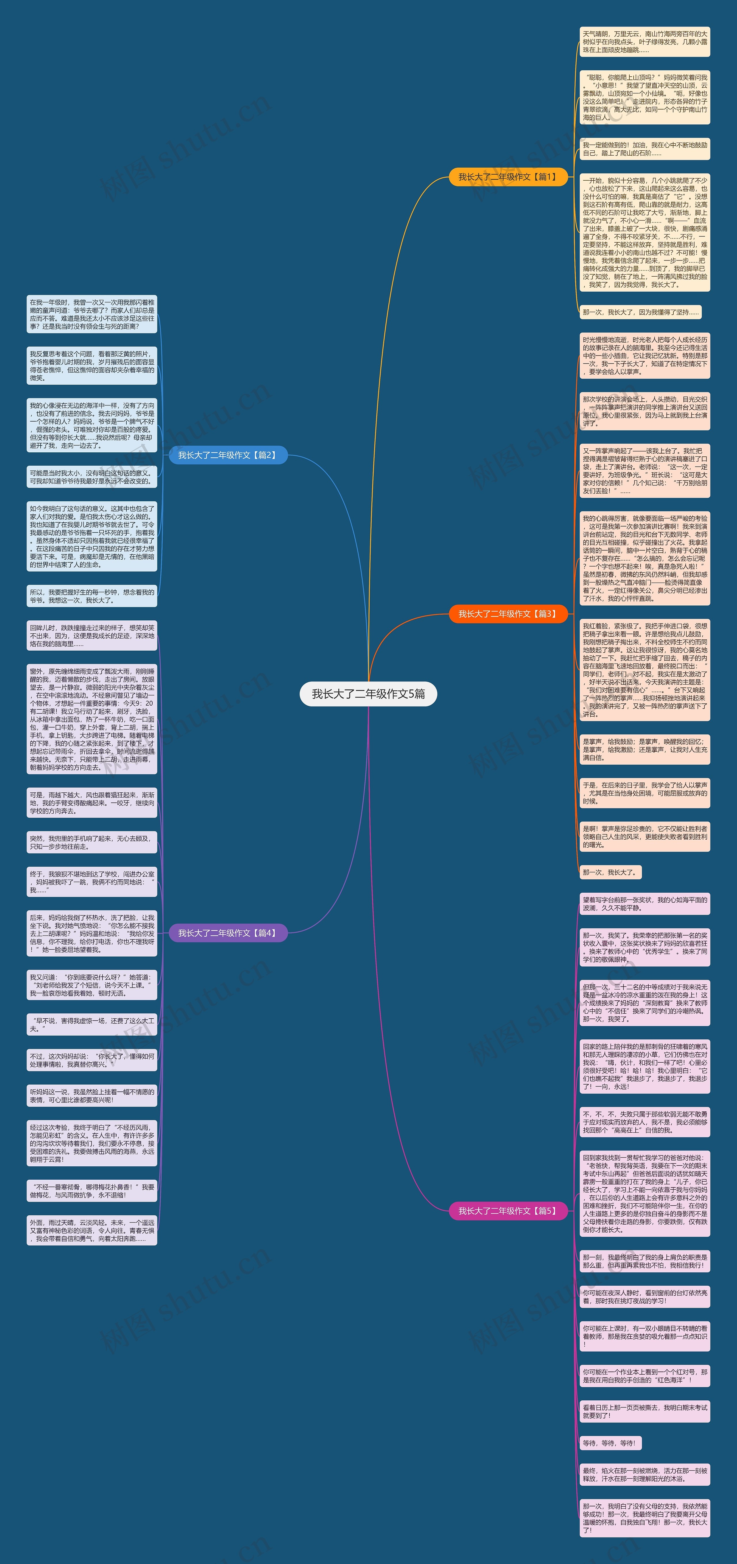 我长大了二年级作文5篇思维导图