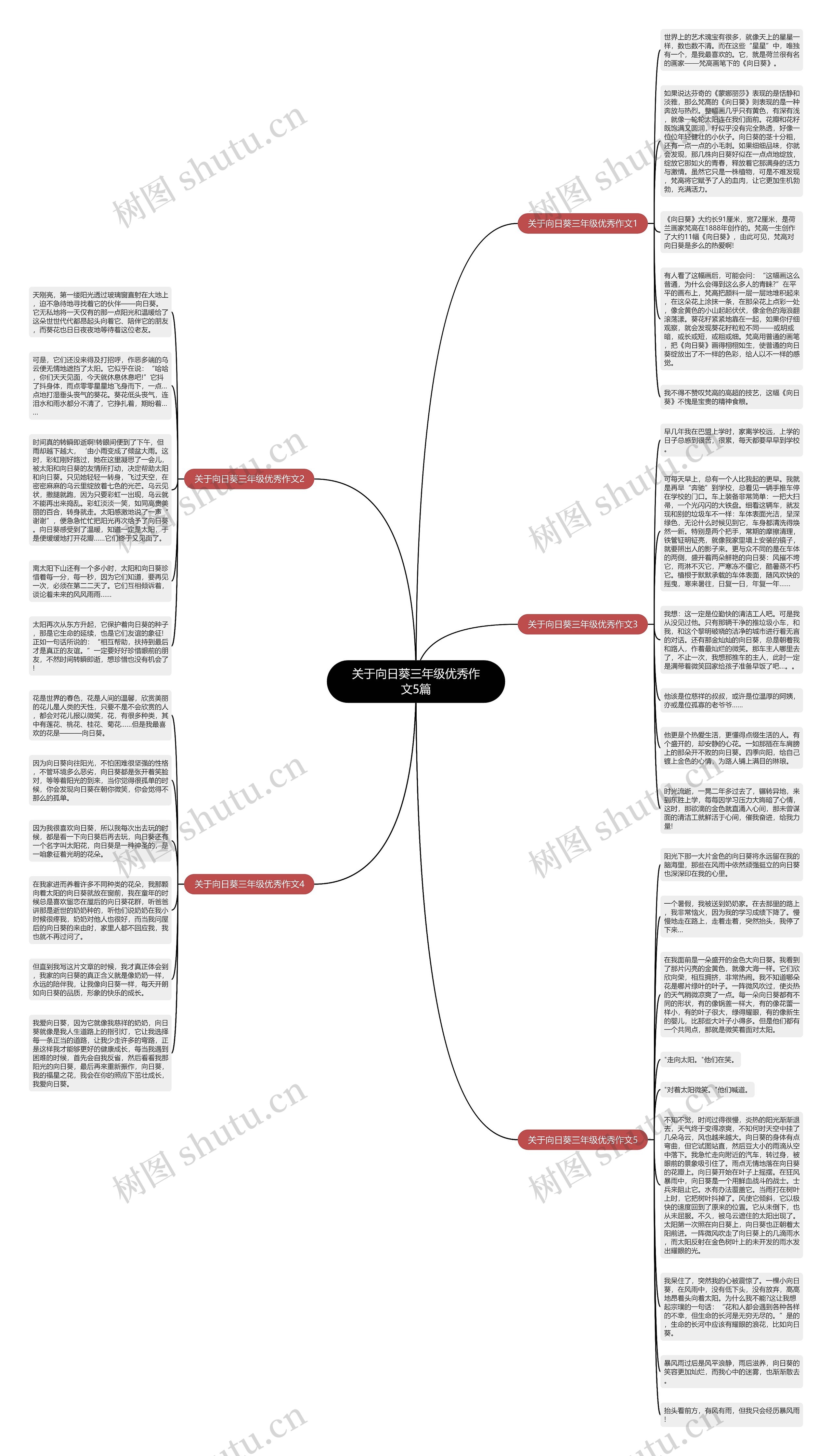 关于向日葵三年级优秀作文5篇思维导图