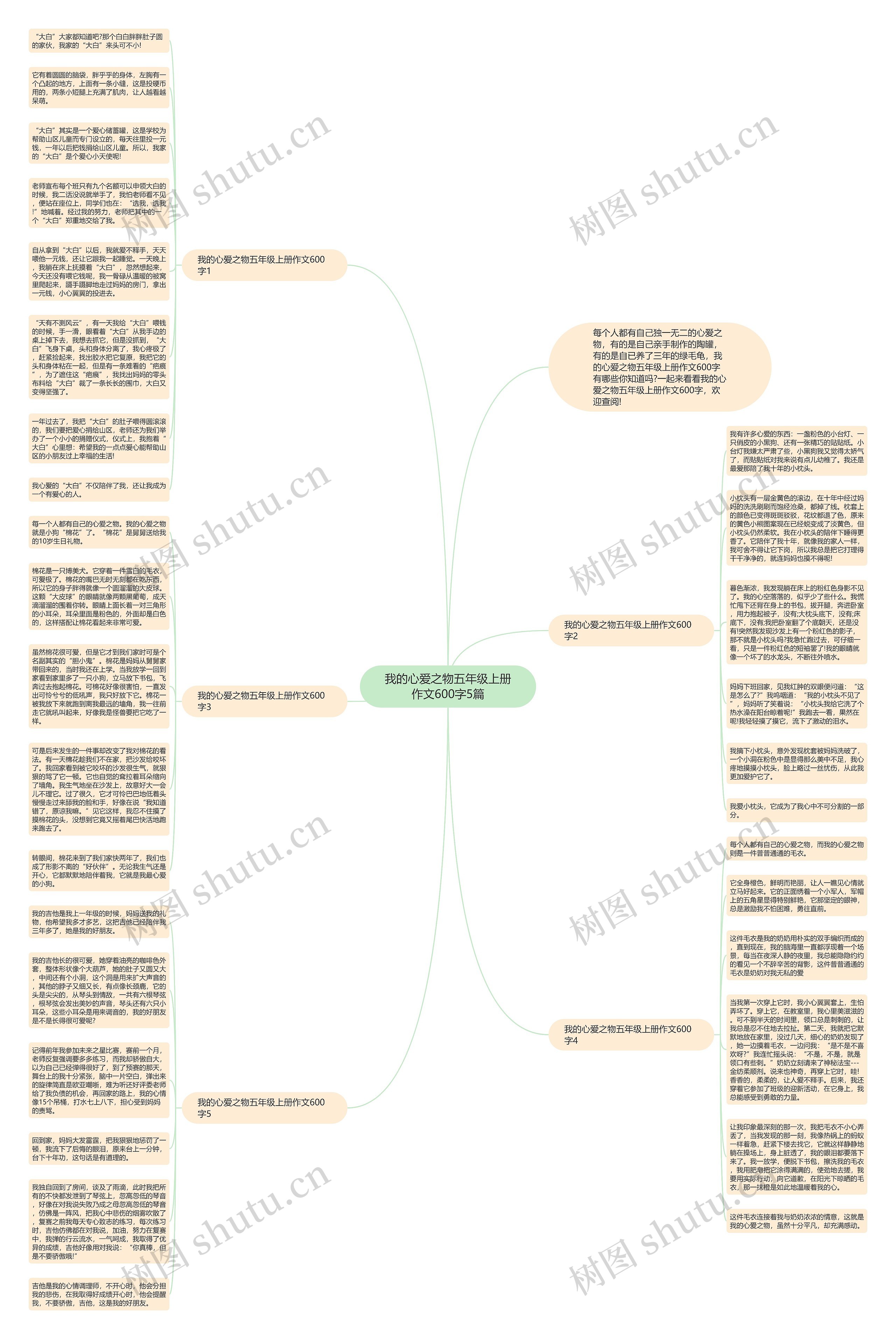 我的心爱之物五年级上册作文600字5篇思维导图