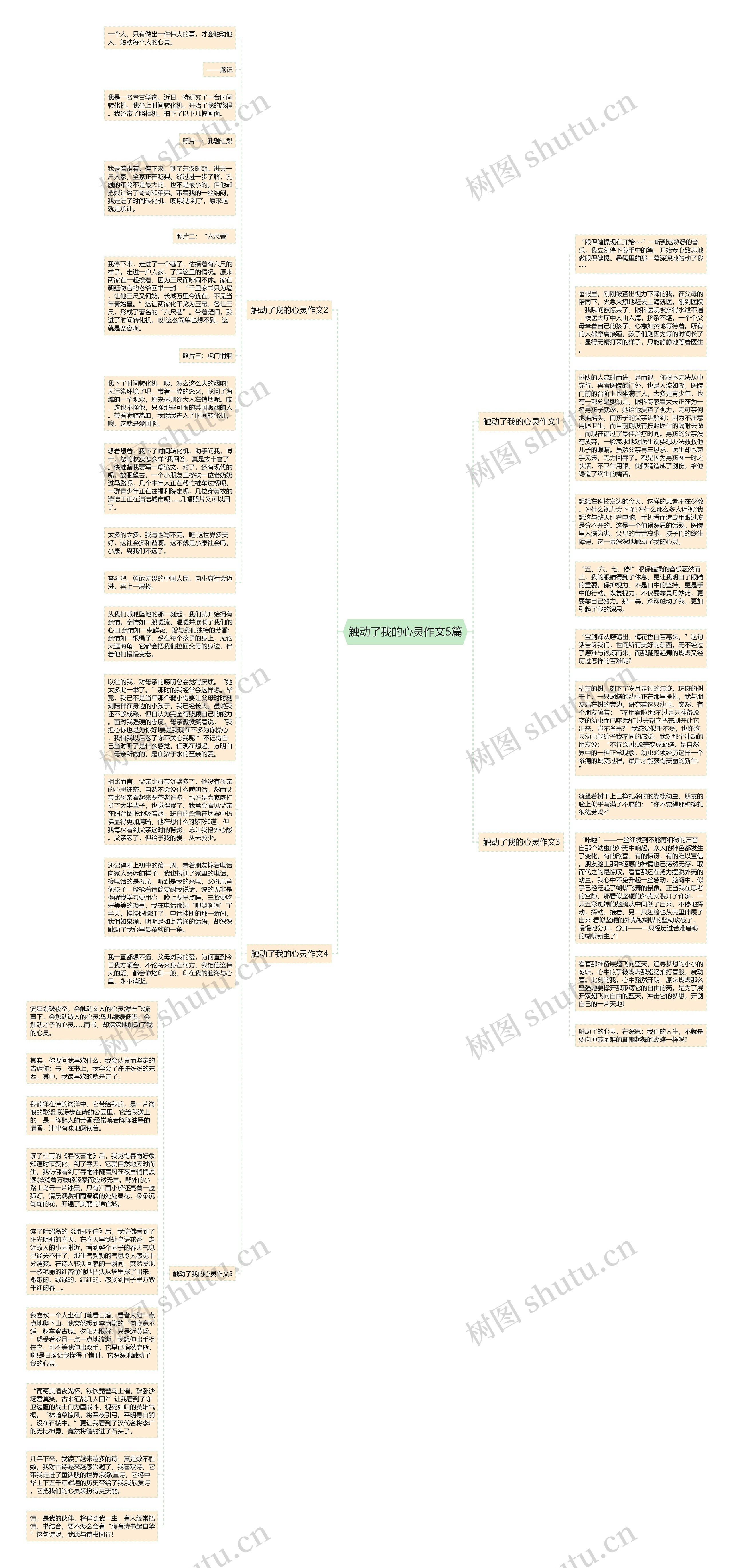 触动了我的心灵作文5篇思维导图