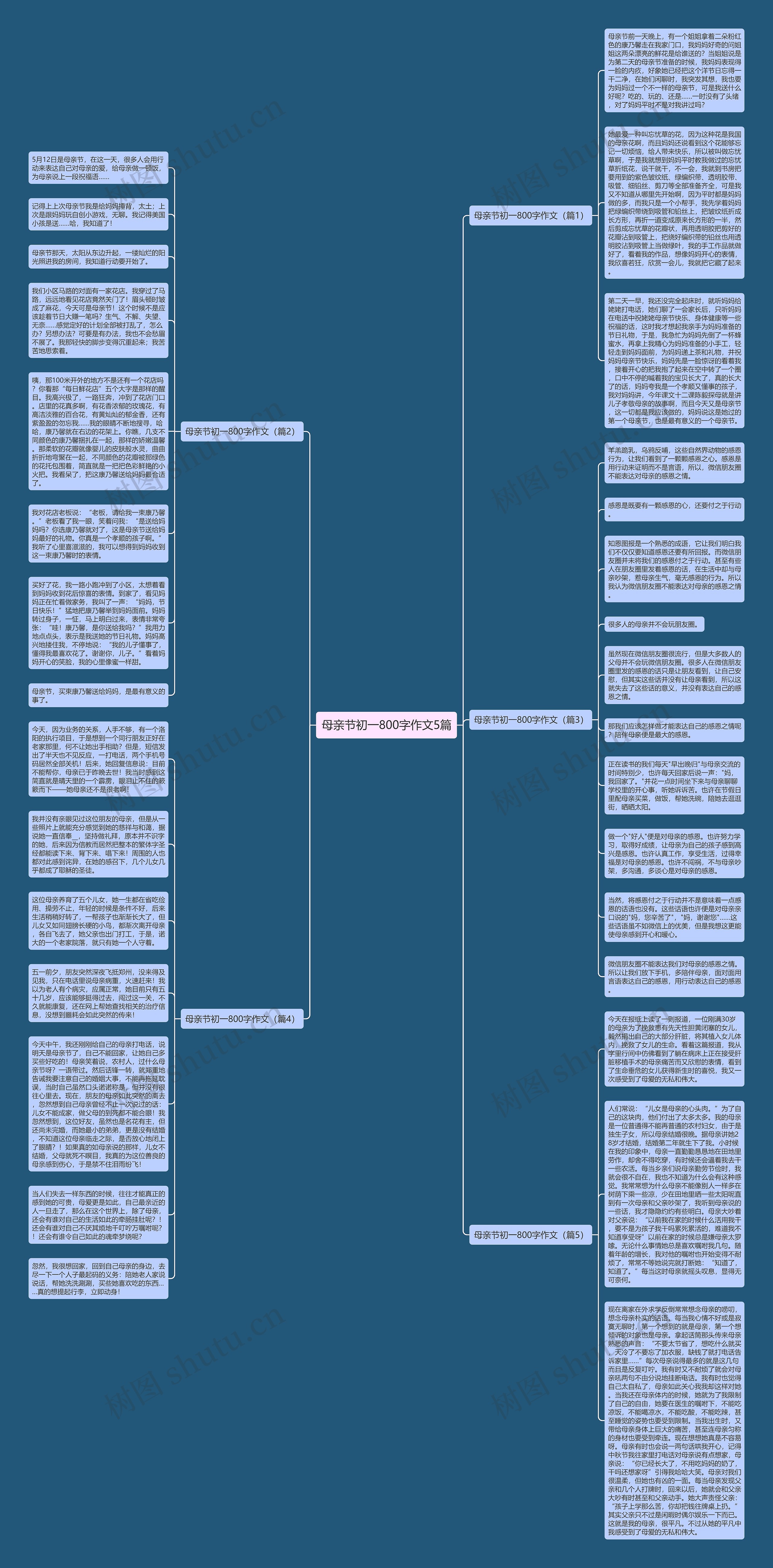 母亲节初一800字作文5篇思维导图