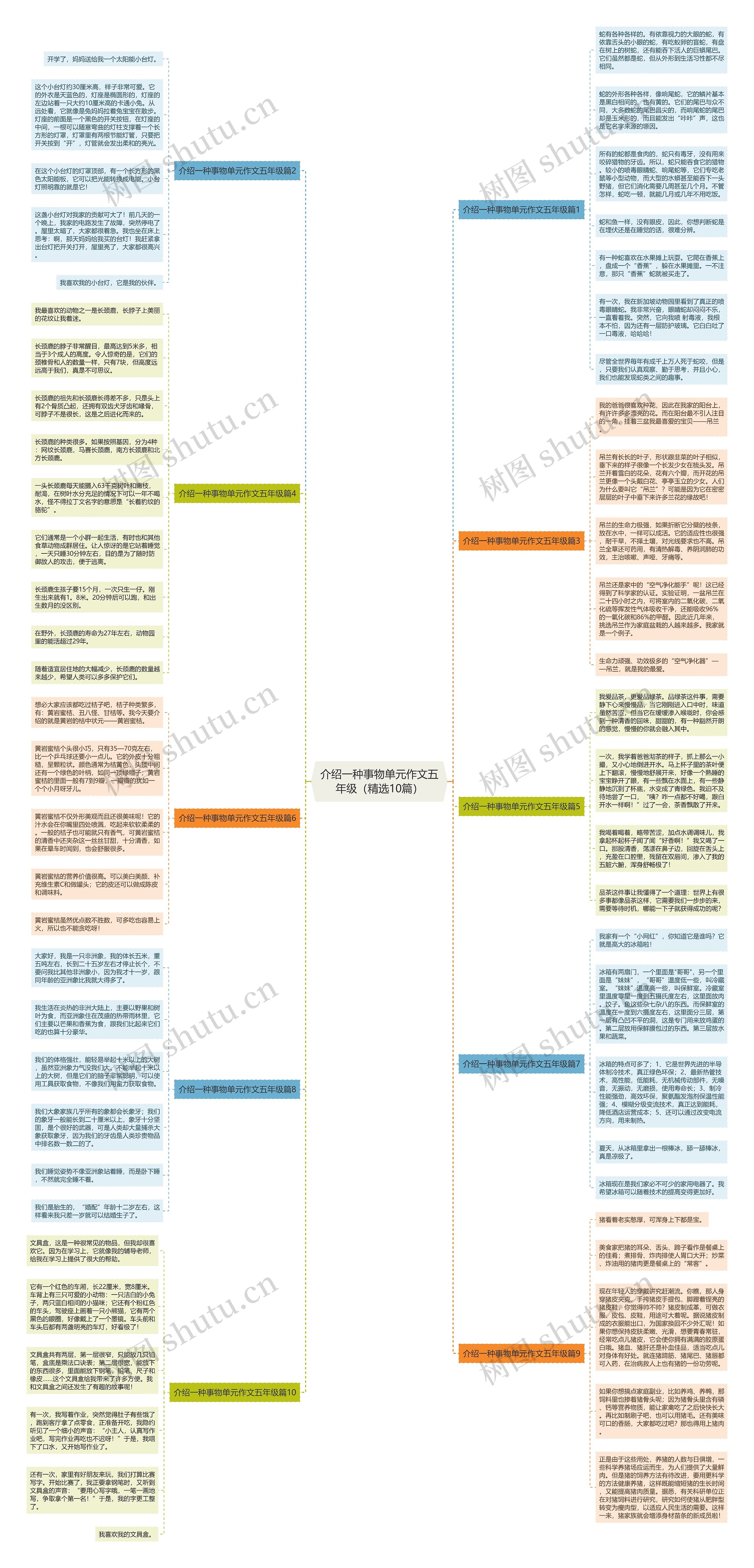 介绍一种事物单元作文五年级（精选10篇）思维导图