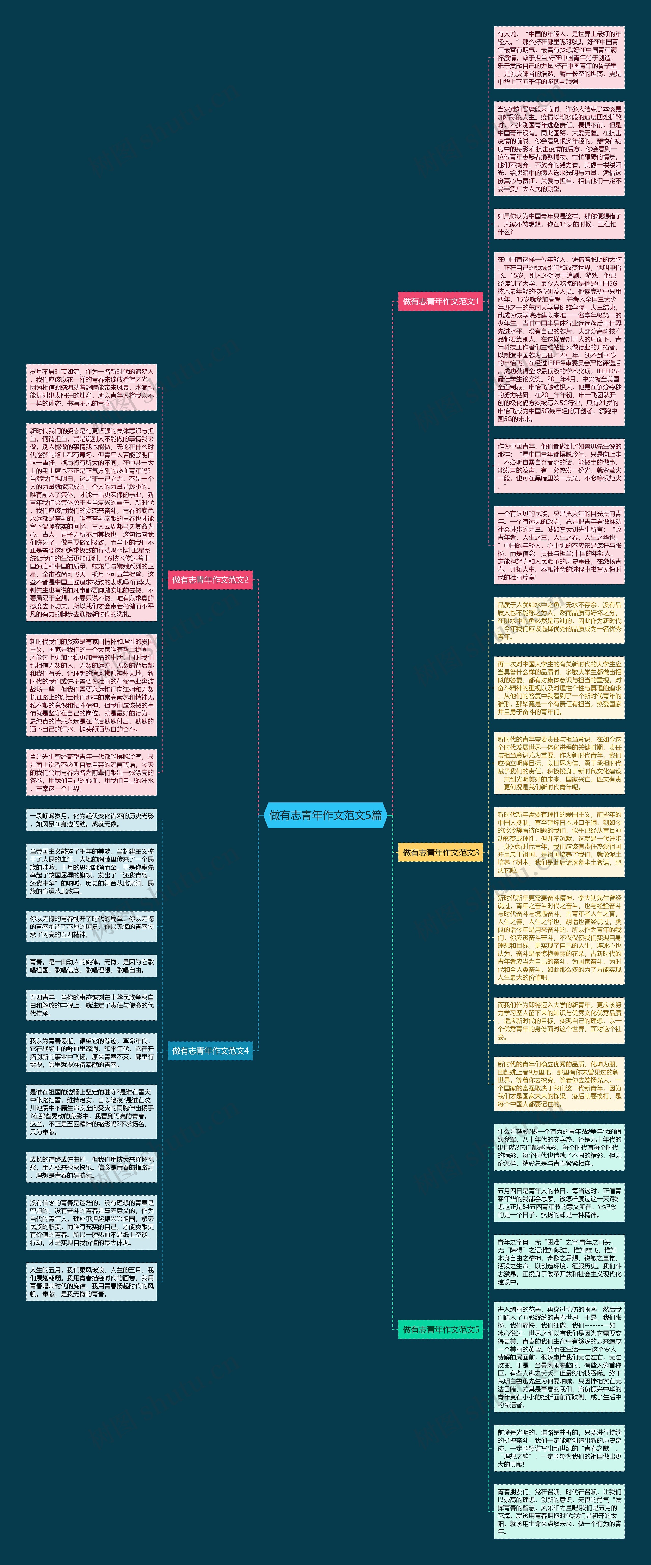 做有志青年作文范文5篇思维导图