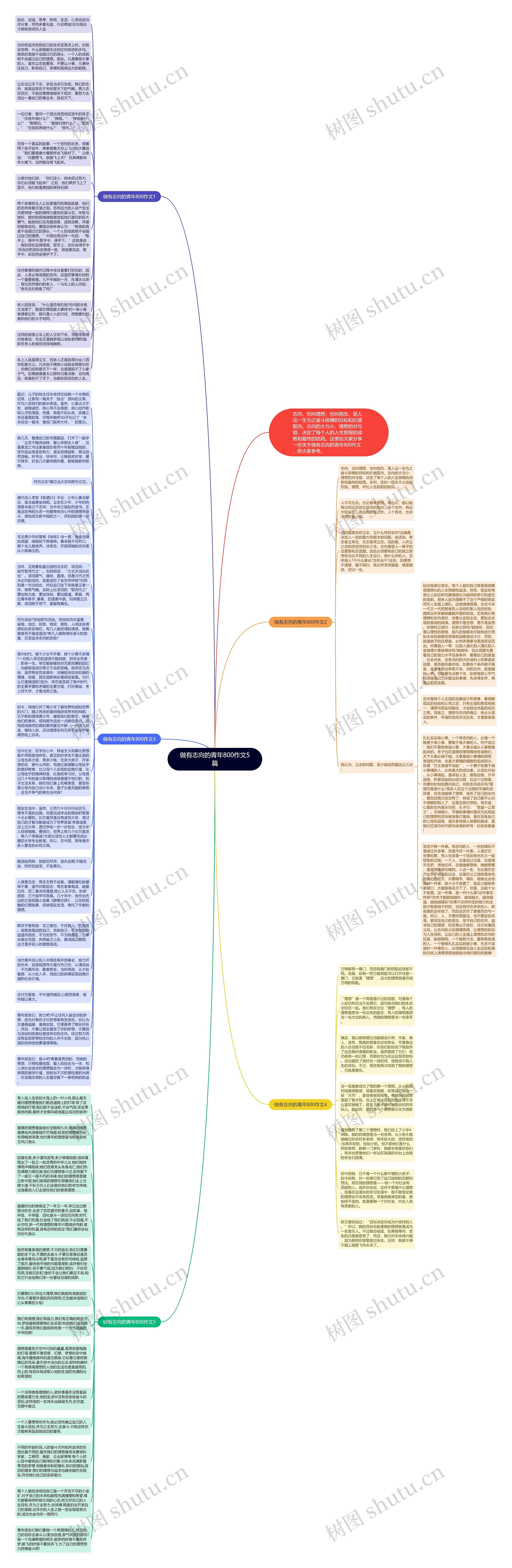 做有志向的青年800作文5篇思维导图