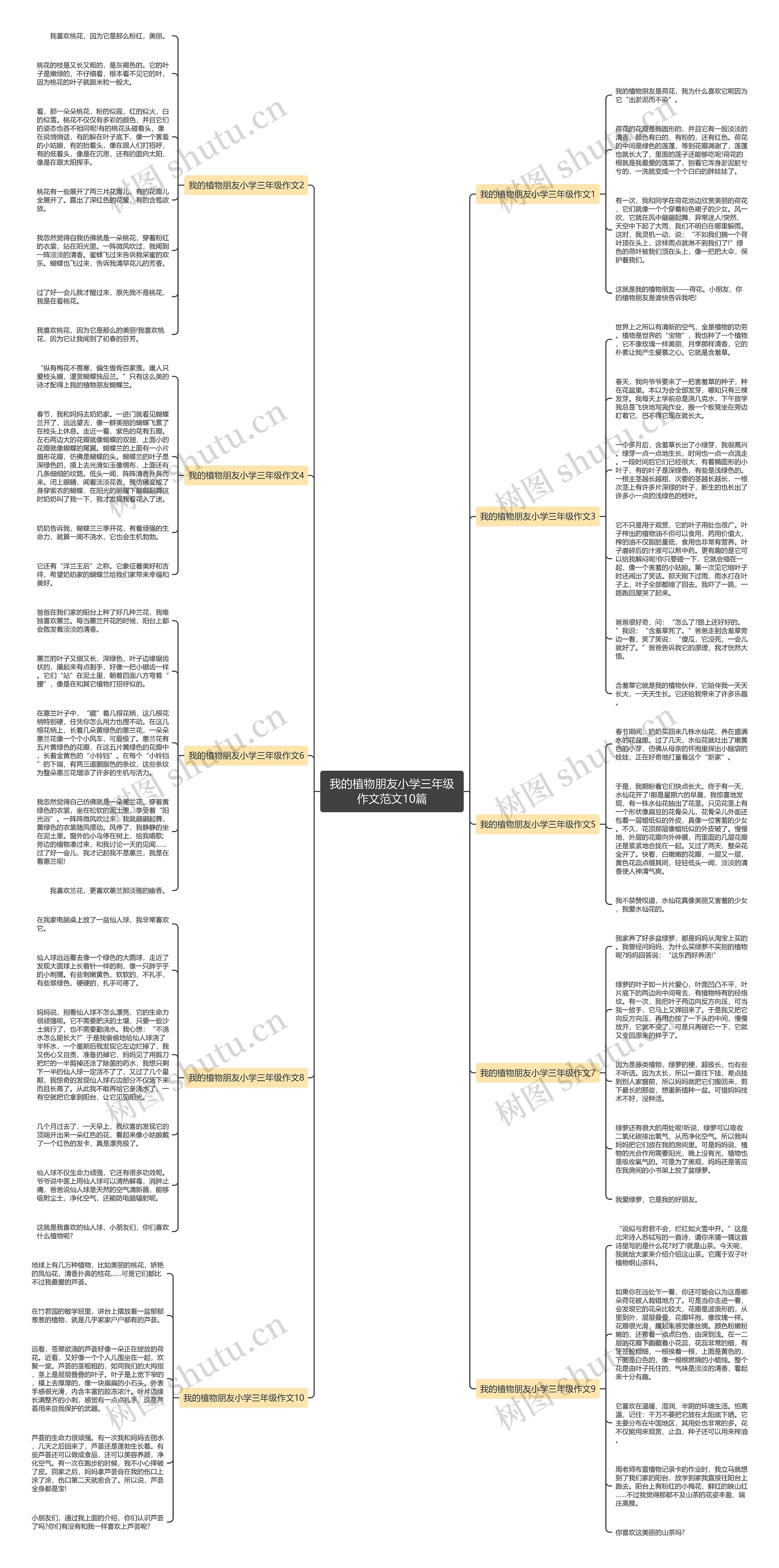 我的植物朋友小学三年级作文范文10篇思维导图