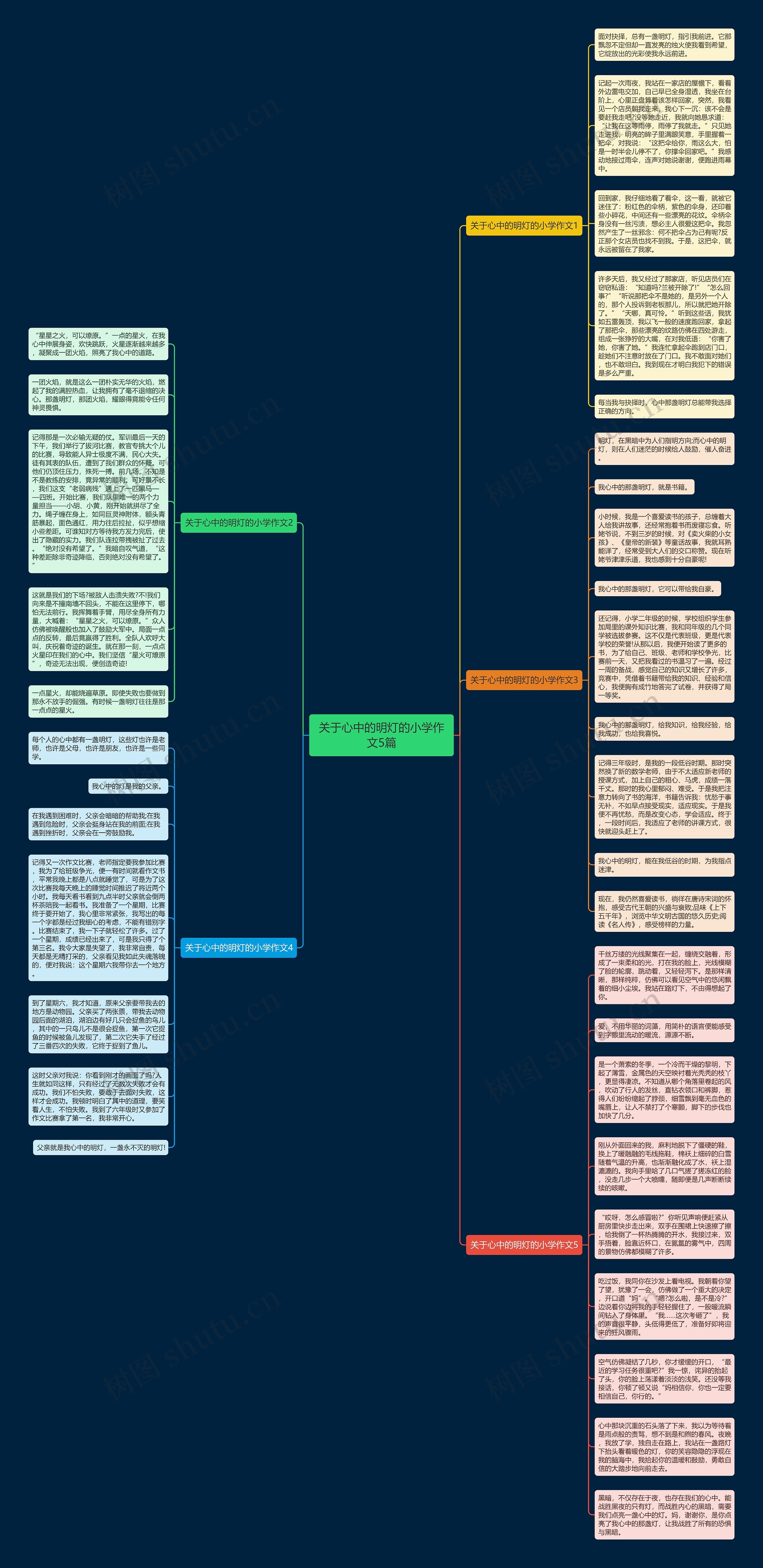 关于心中的明灯的小学作文5篇