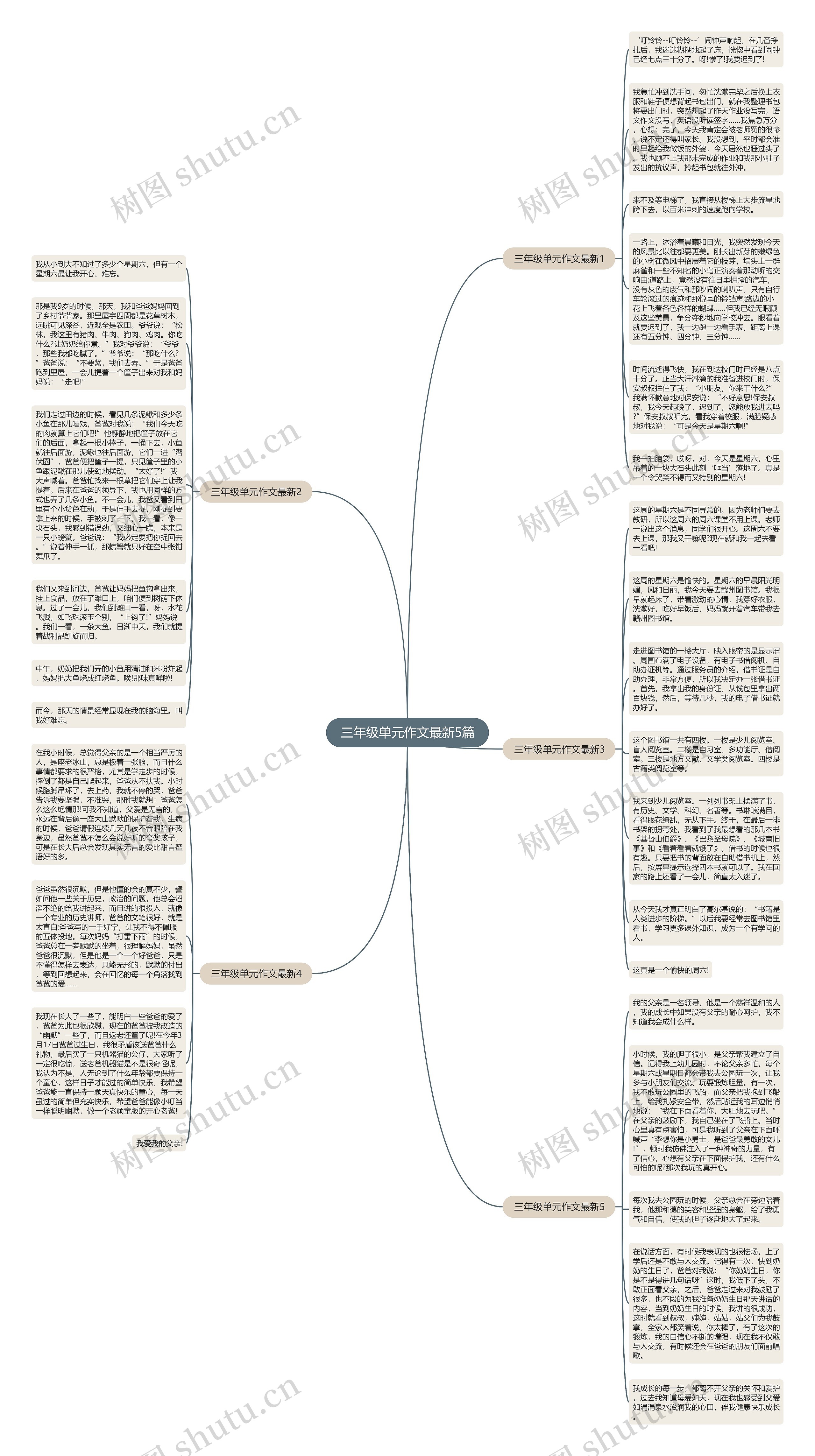 三年级单元作文最新5篇思维导图