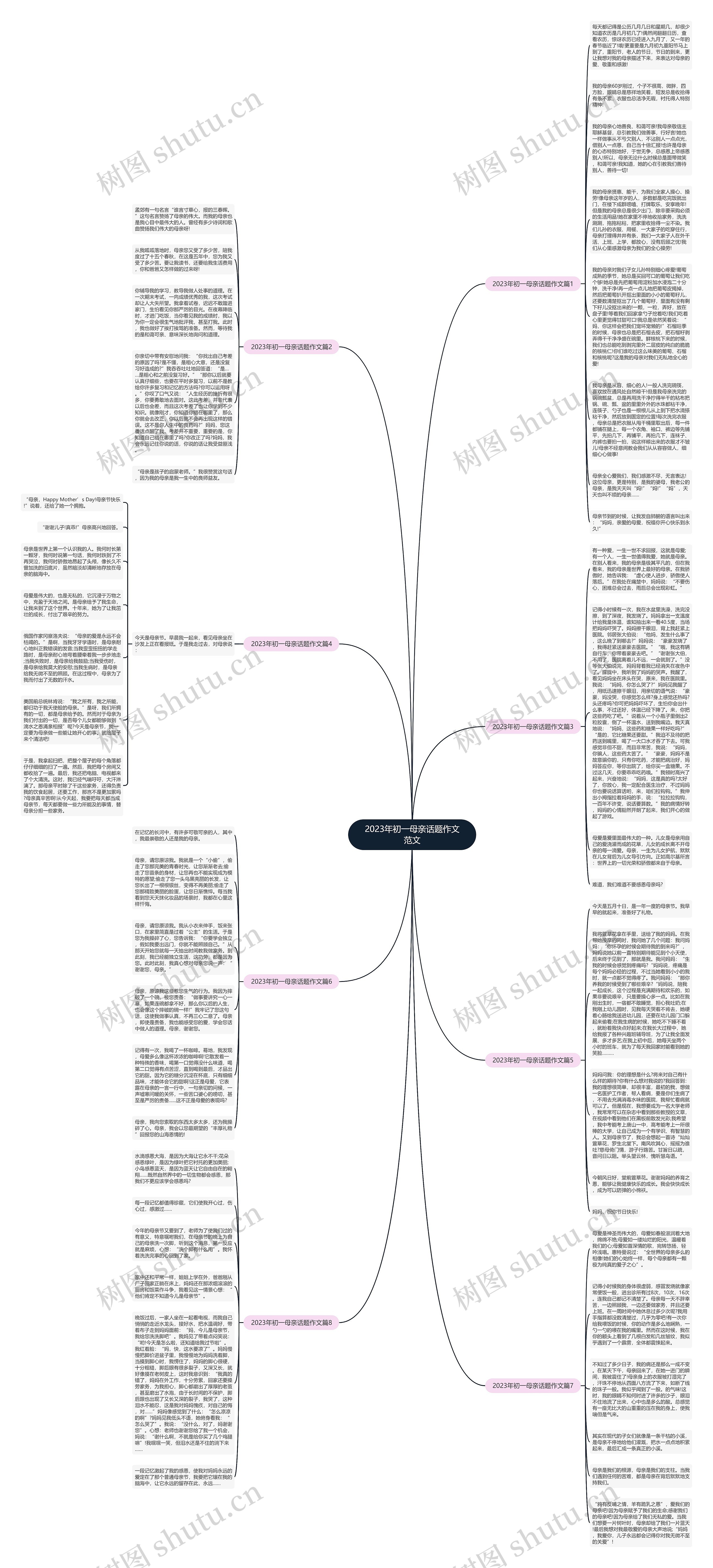2023年初一母亲话题作文范文思维导图