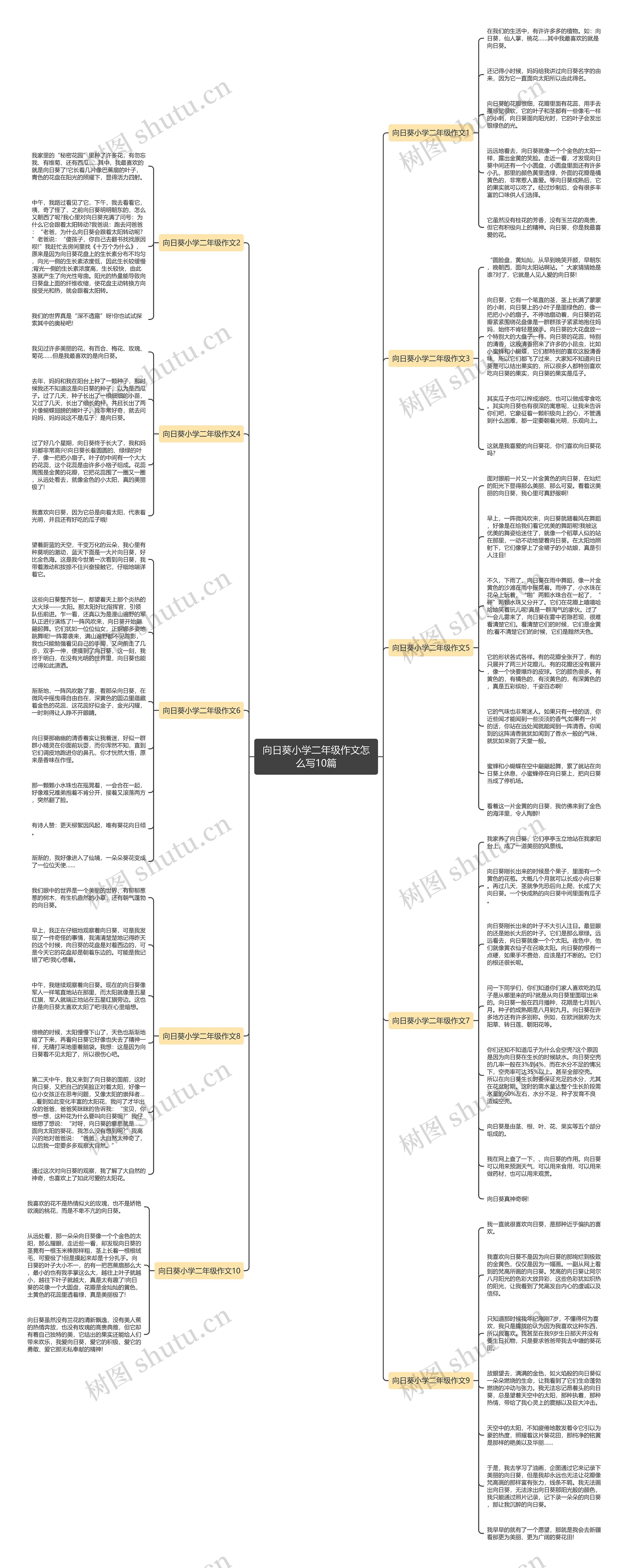 向日葵小学二年级作文怎么写10篇思维导图