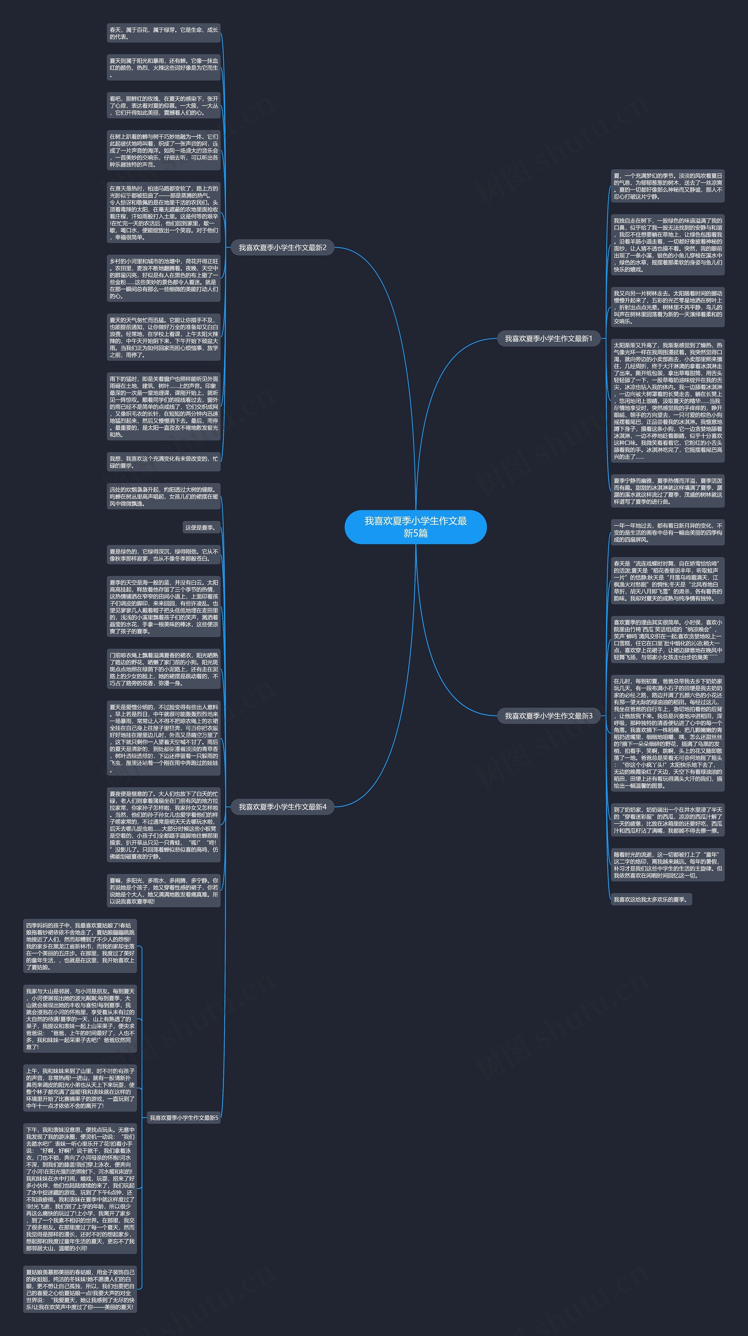 我喜欢夏季小学生作文最新5篇思维导图