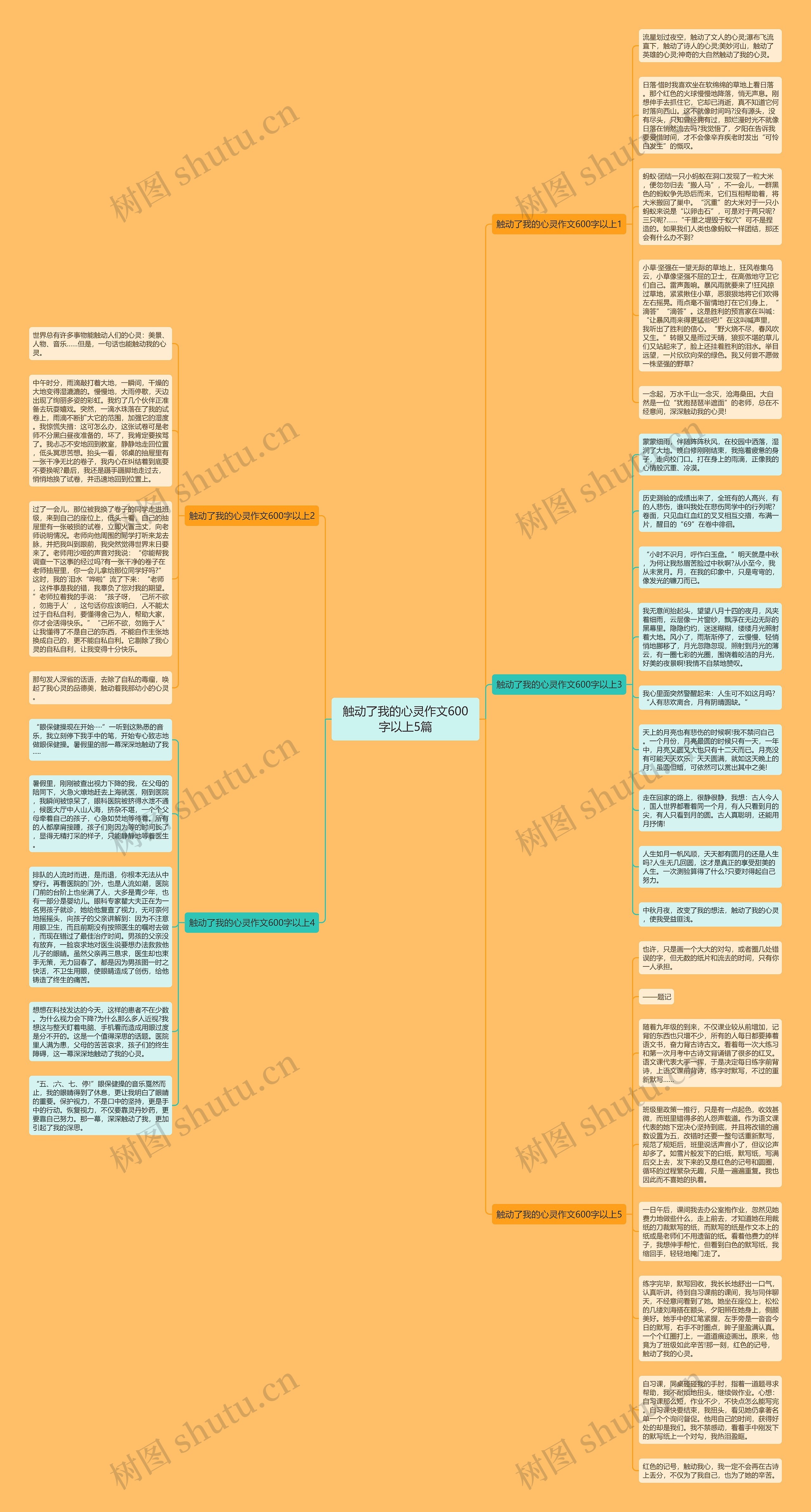 触动了我的心灵作文600字以上5篇思维导图