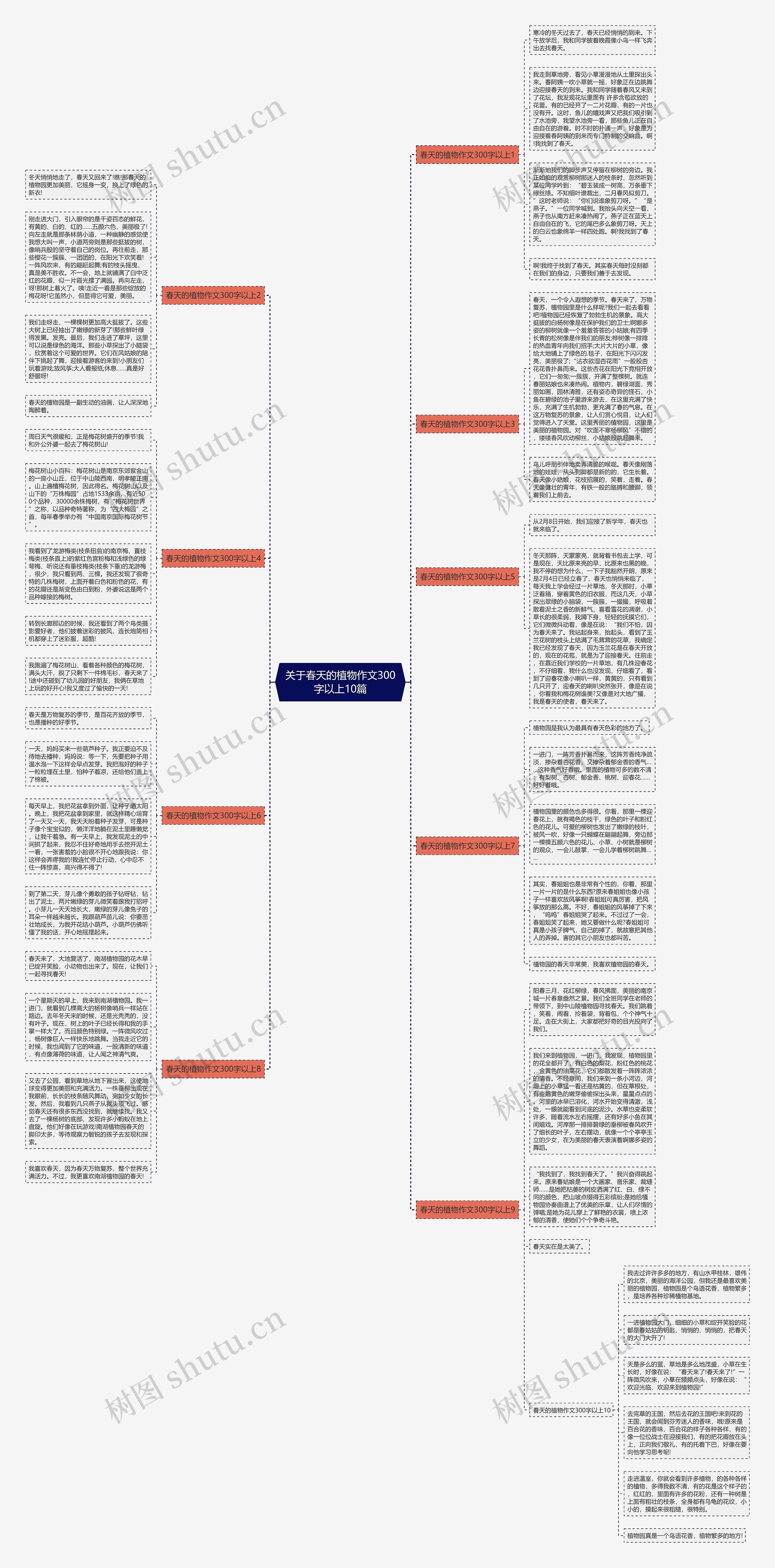 关于春天的植物作文300字以上10篇思维导图
