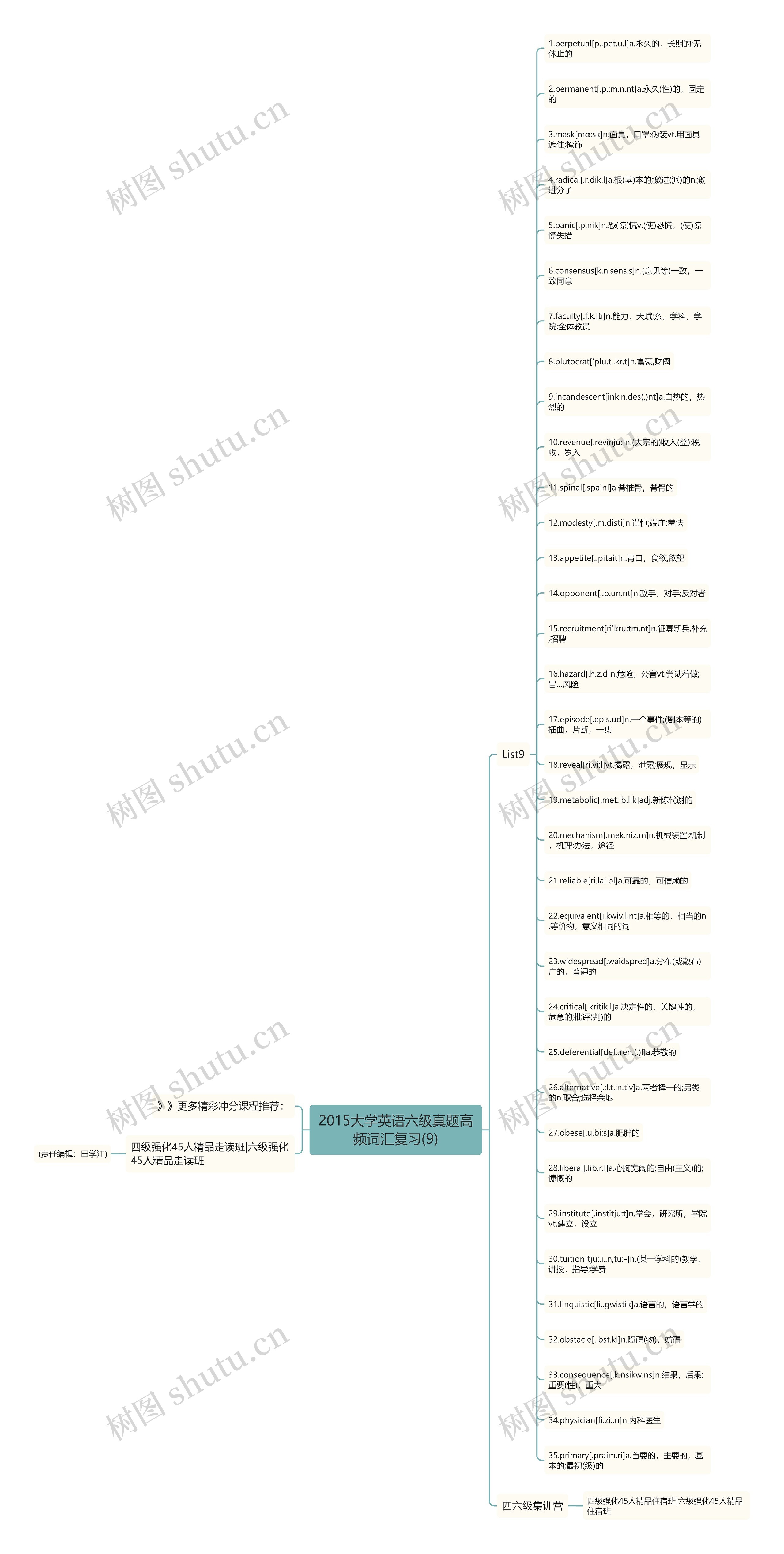 2015大学英语六级真题高频词汇复习(9)思维导图