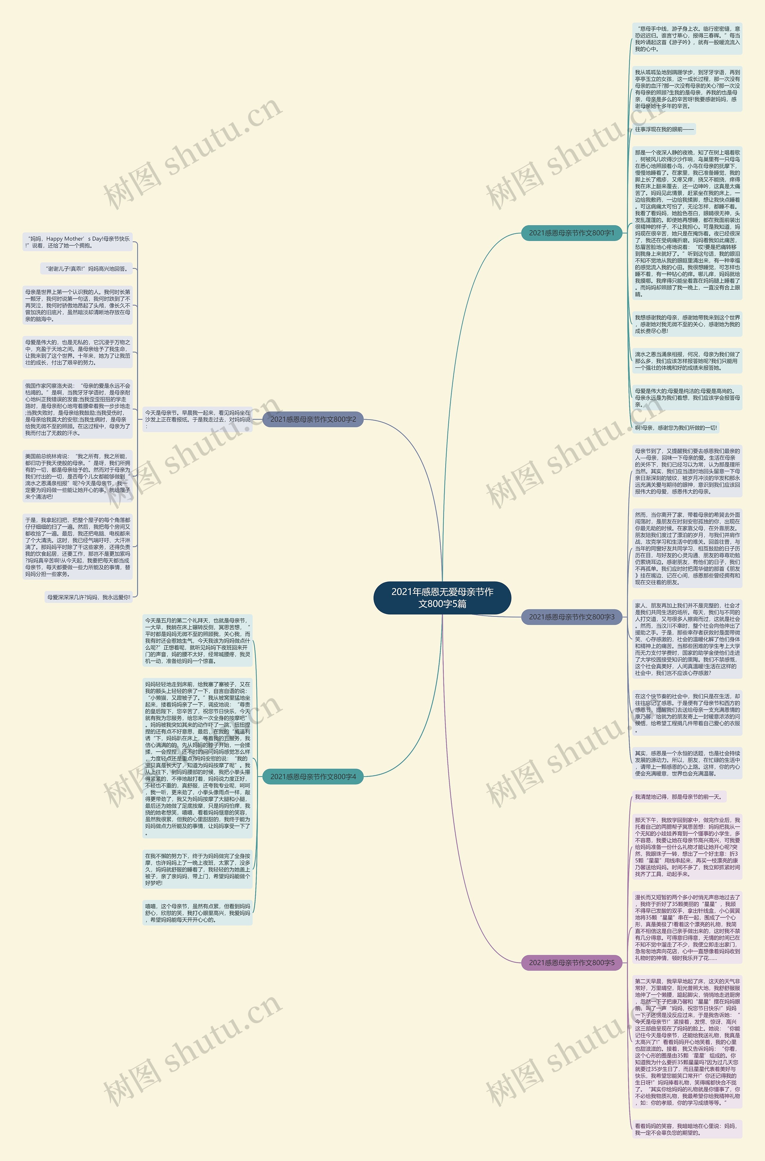 2021年感恩无爱母亲节作文800字5篇思维导图