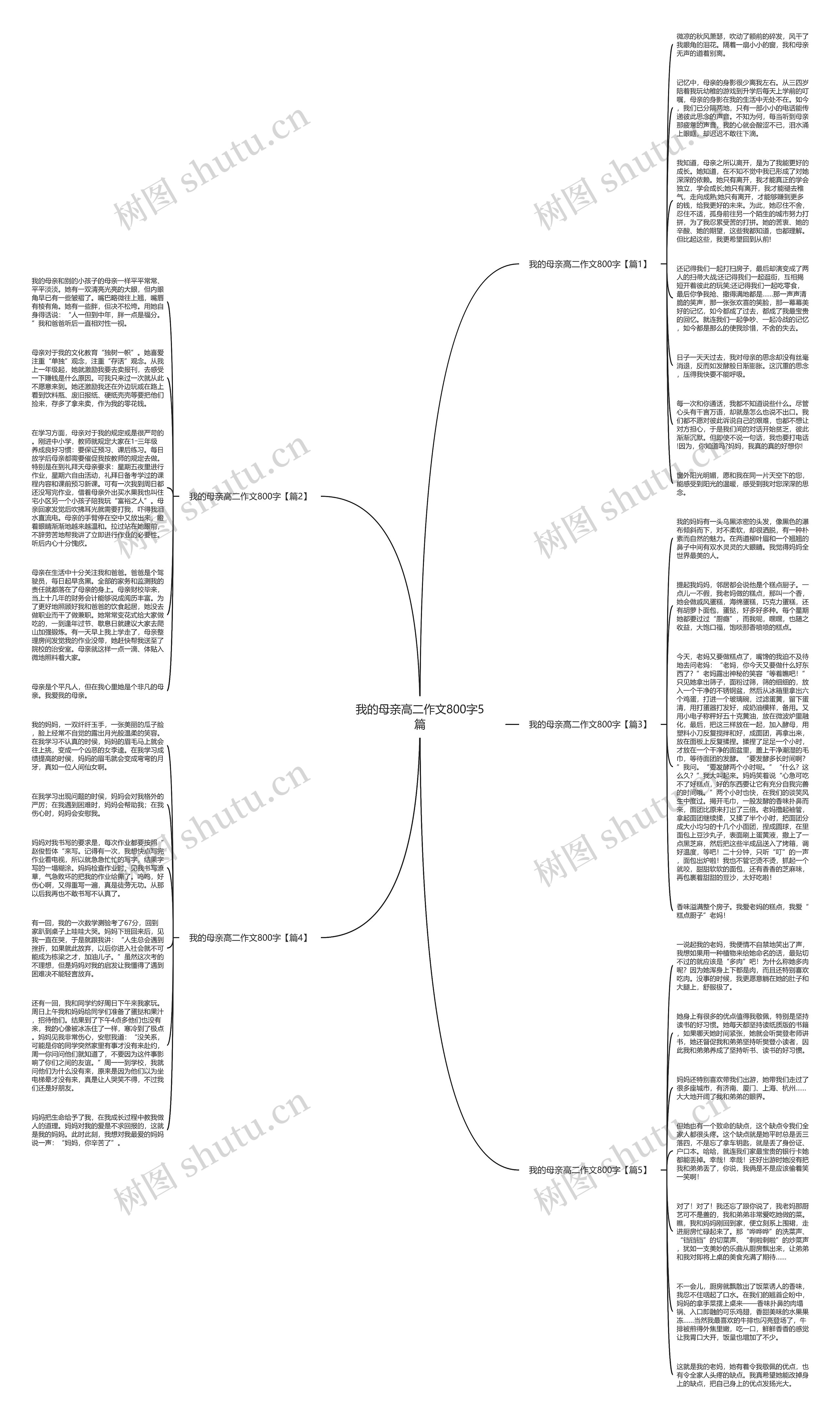 我的母亲高二作文800字5篇思维导图