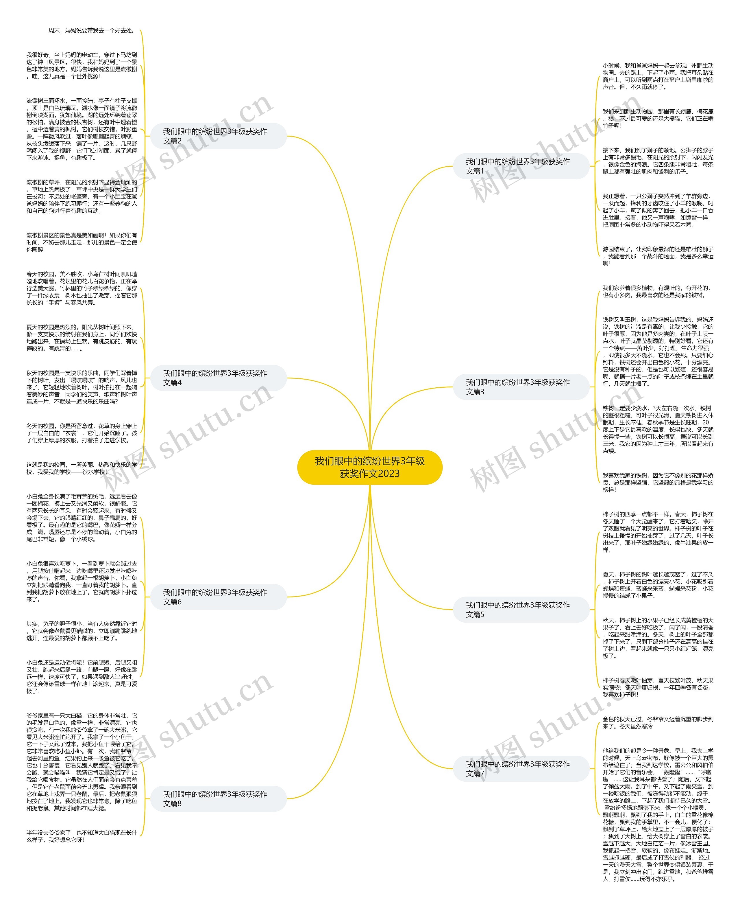 我们眼中的缤纷世界3年级获奖作文2023