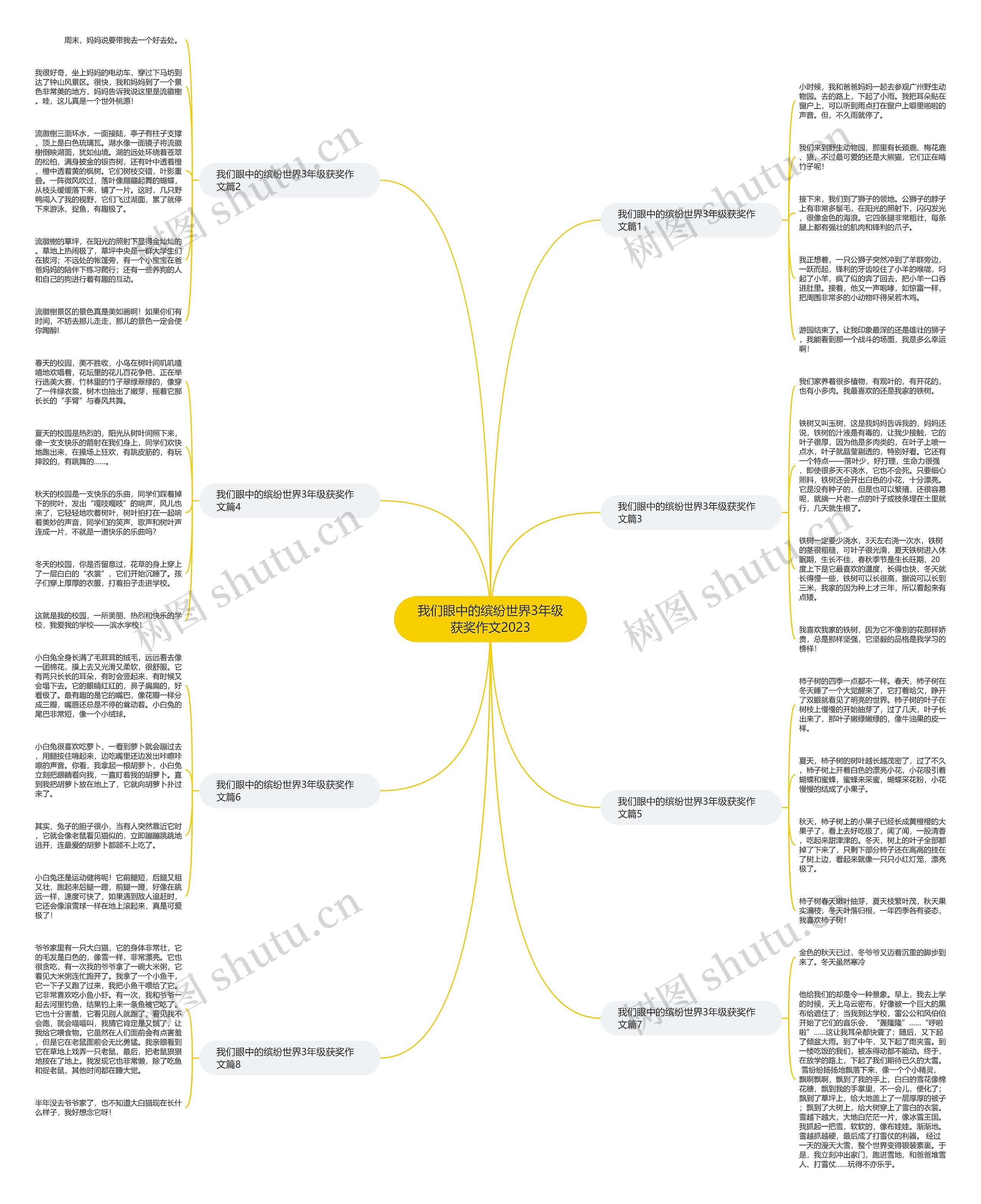 我们眼中的缤纷世界3年级获奖作文2023