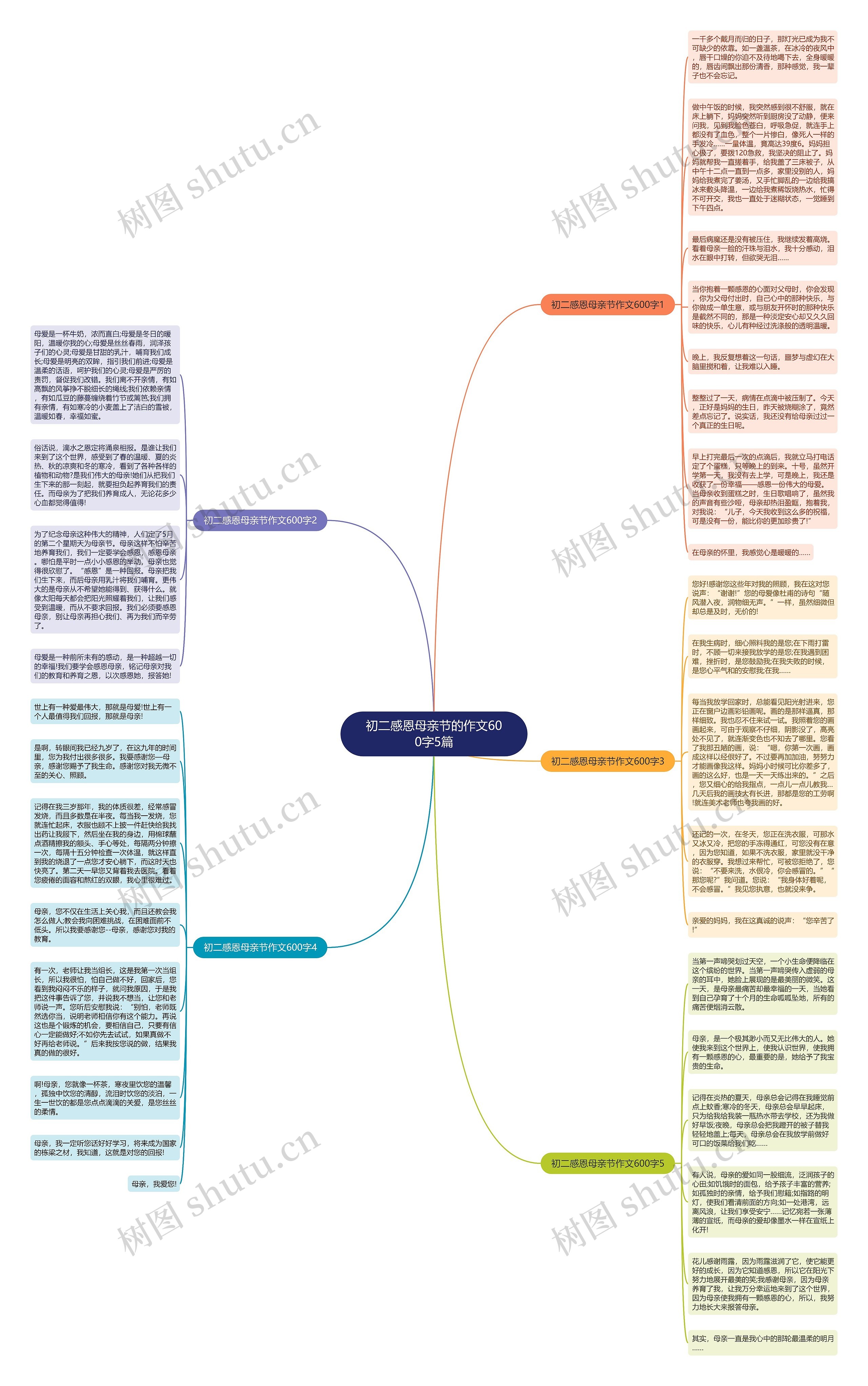 初二感恩母亲节的作文600字5篇思维导图