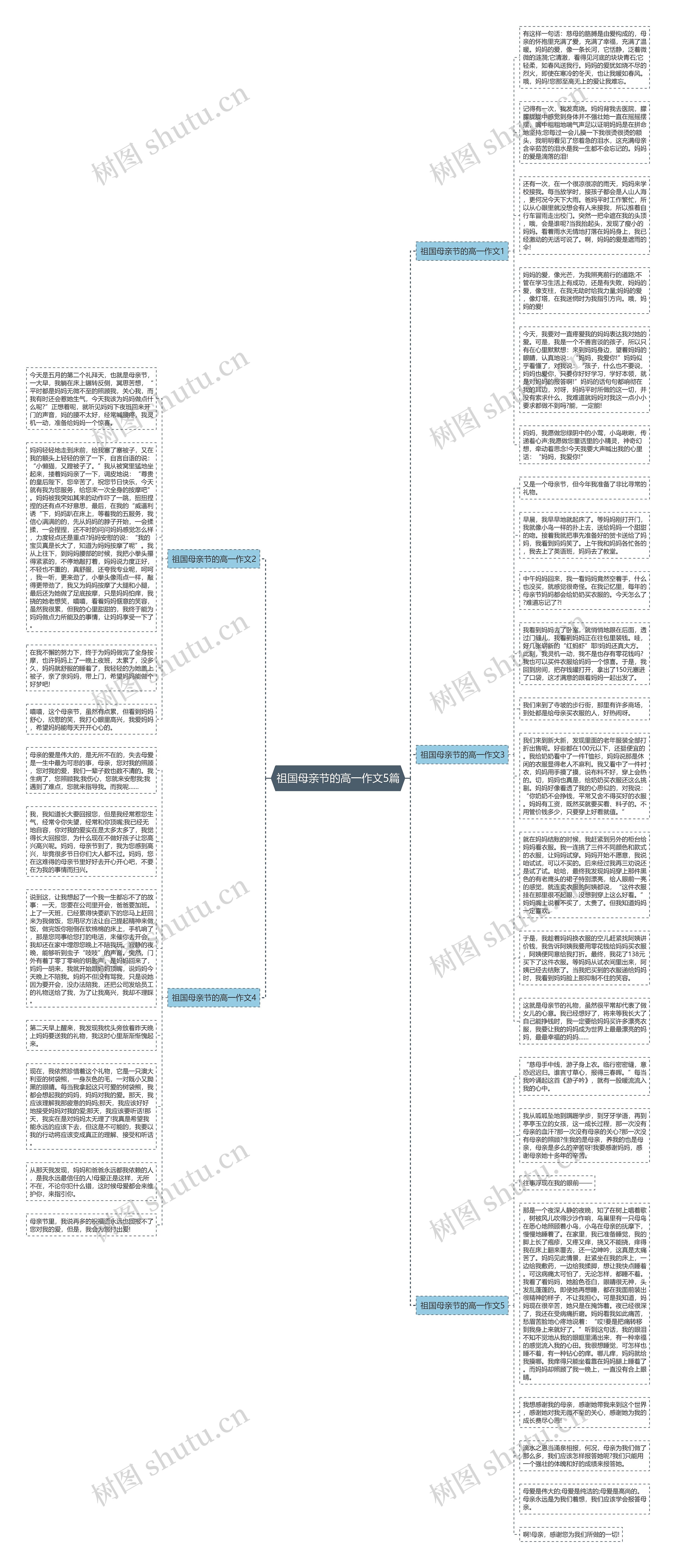 祖国母亲节的高一作文5篇思维导图