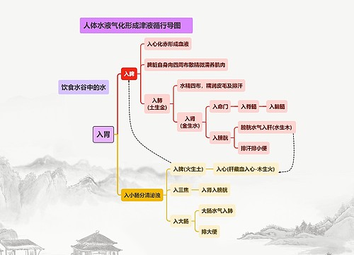 人体水液气化形成津液循行导图