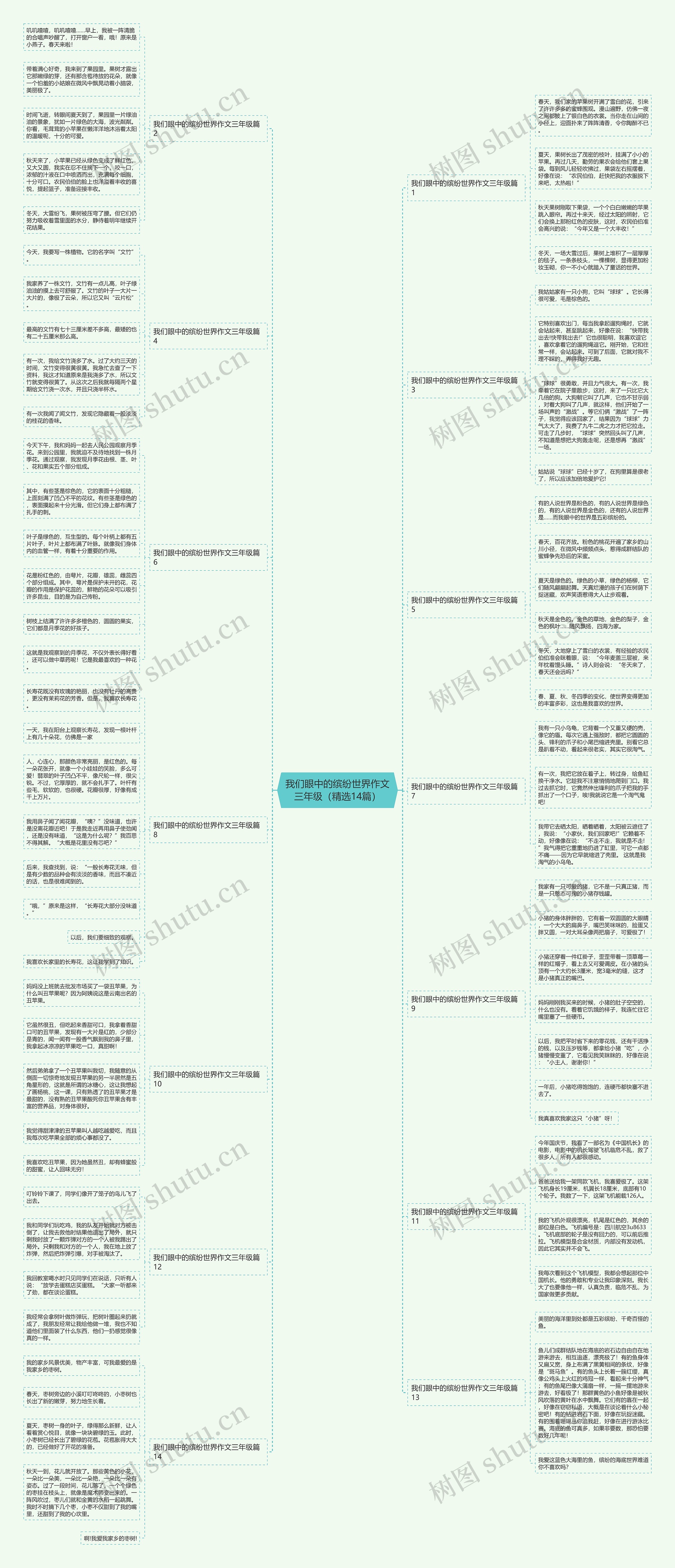 我们眼中的缤纷世界作文三年级（精选14篇）思维导图