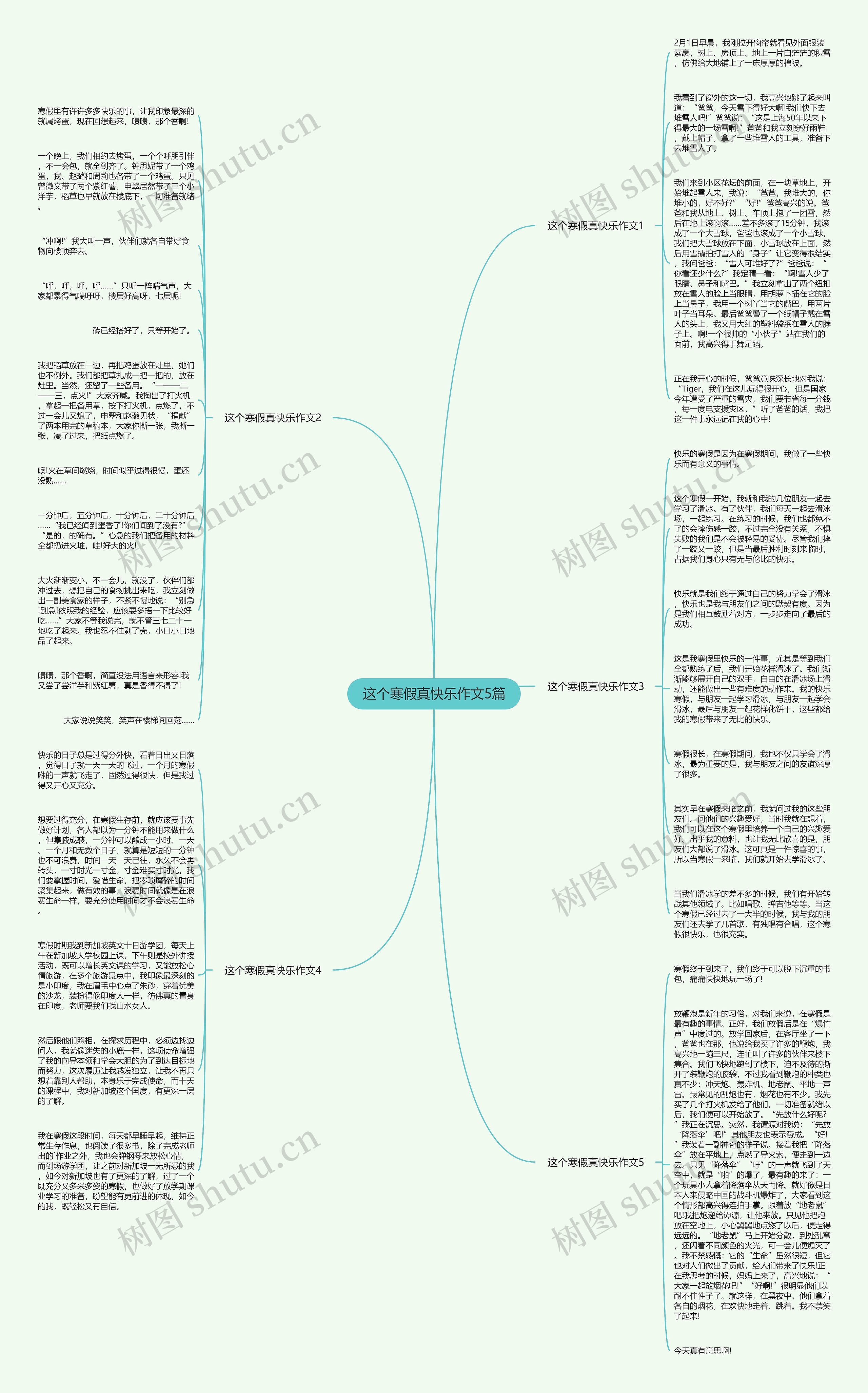 这个寒假真快乐作文5篇思维导图