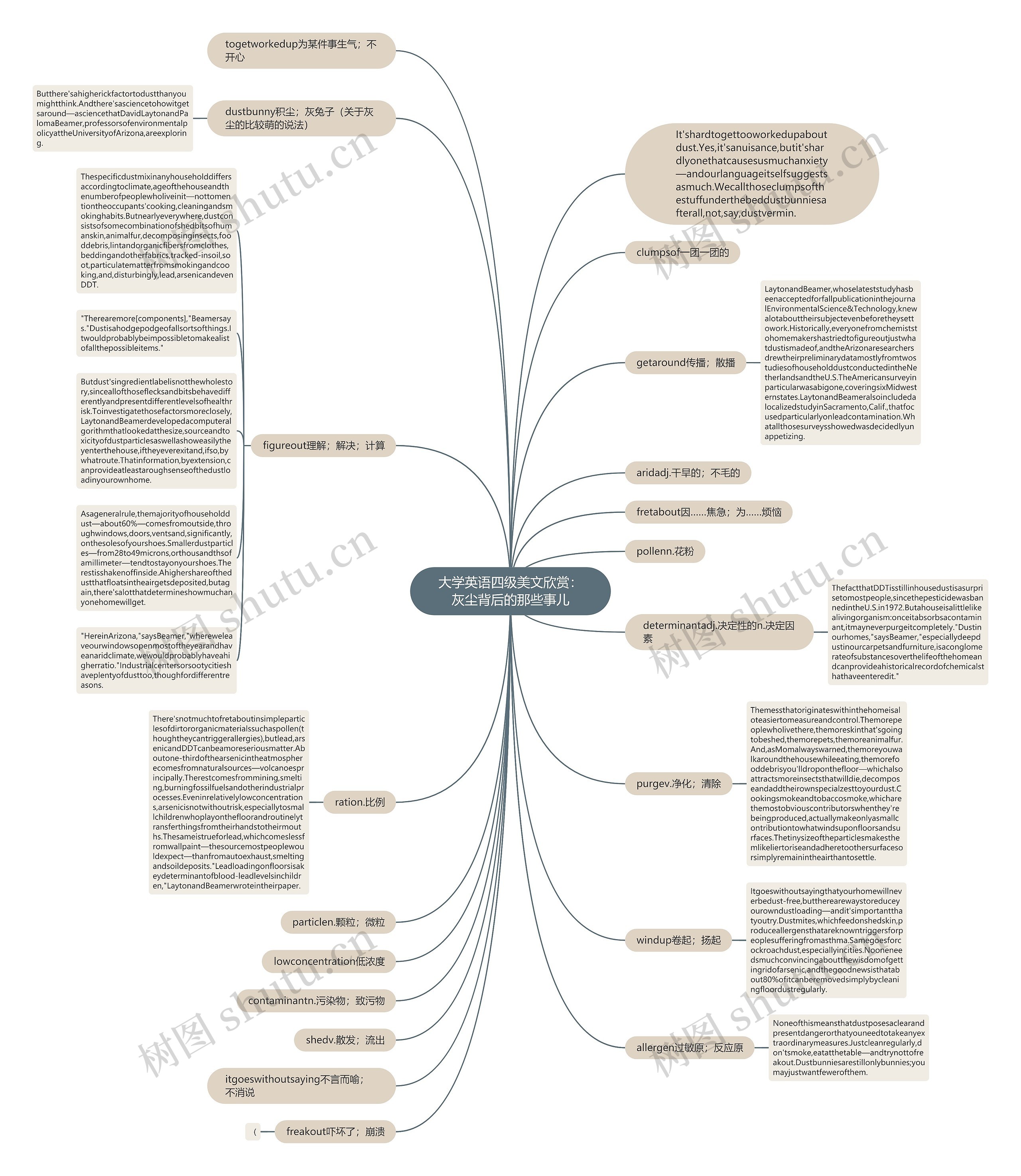 大学英语四级美文欣赏：灰尘背后的那些事儿思维导图