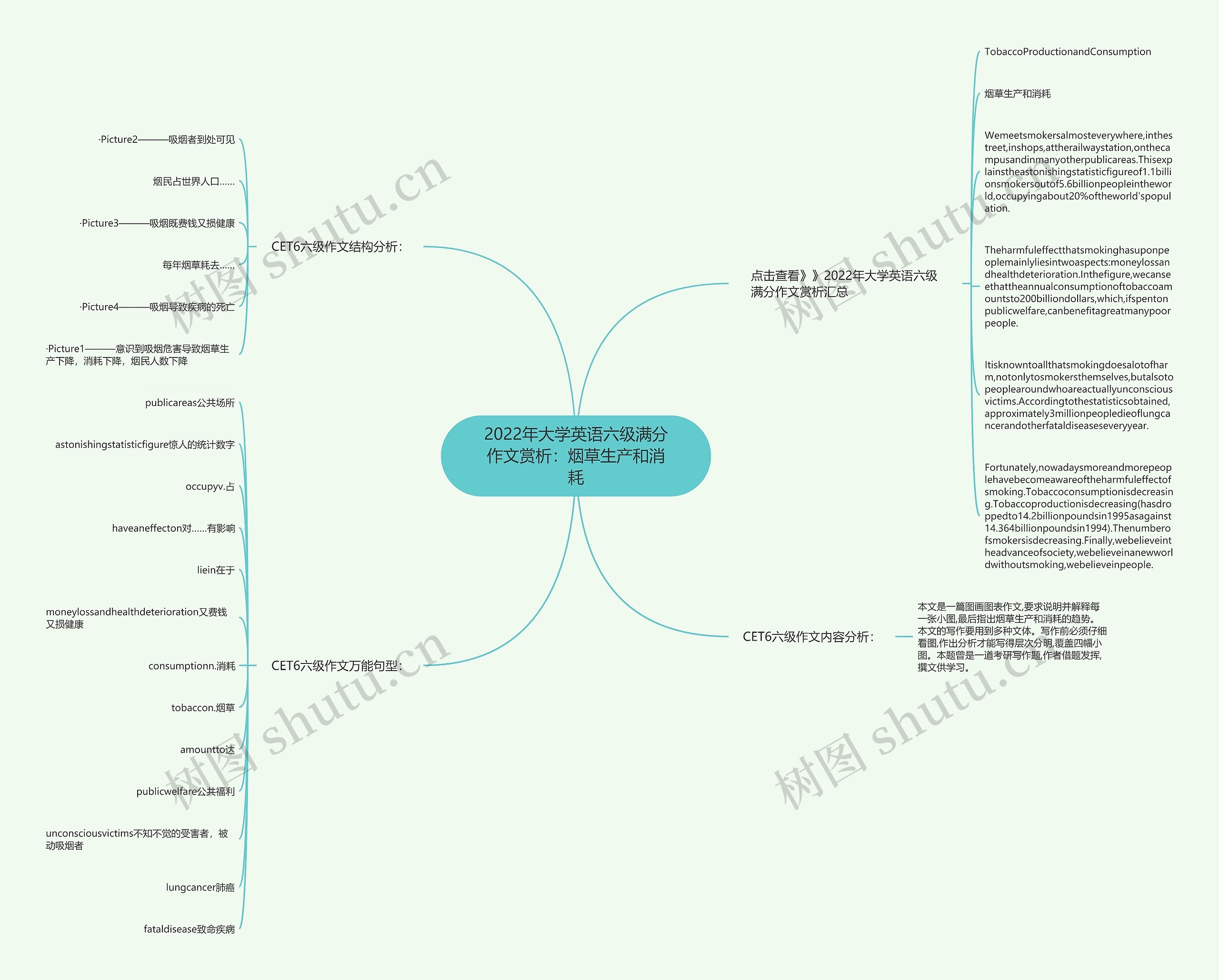 2022年大学英语六级满分作文赏析：烟草生产和消耗思维导图