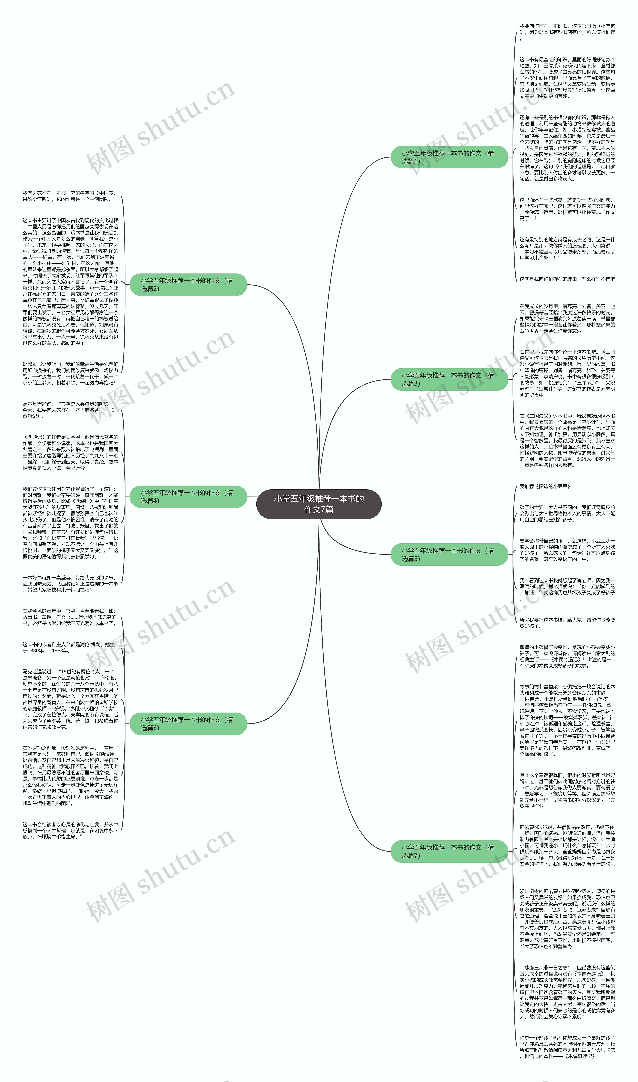 小学五年级推荐一本书的作文7篇思维导图