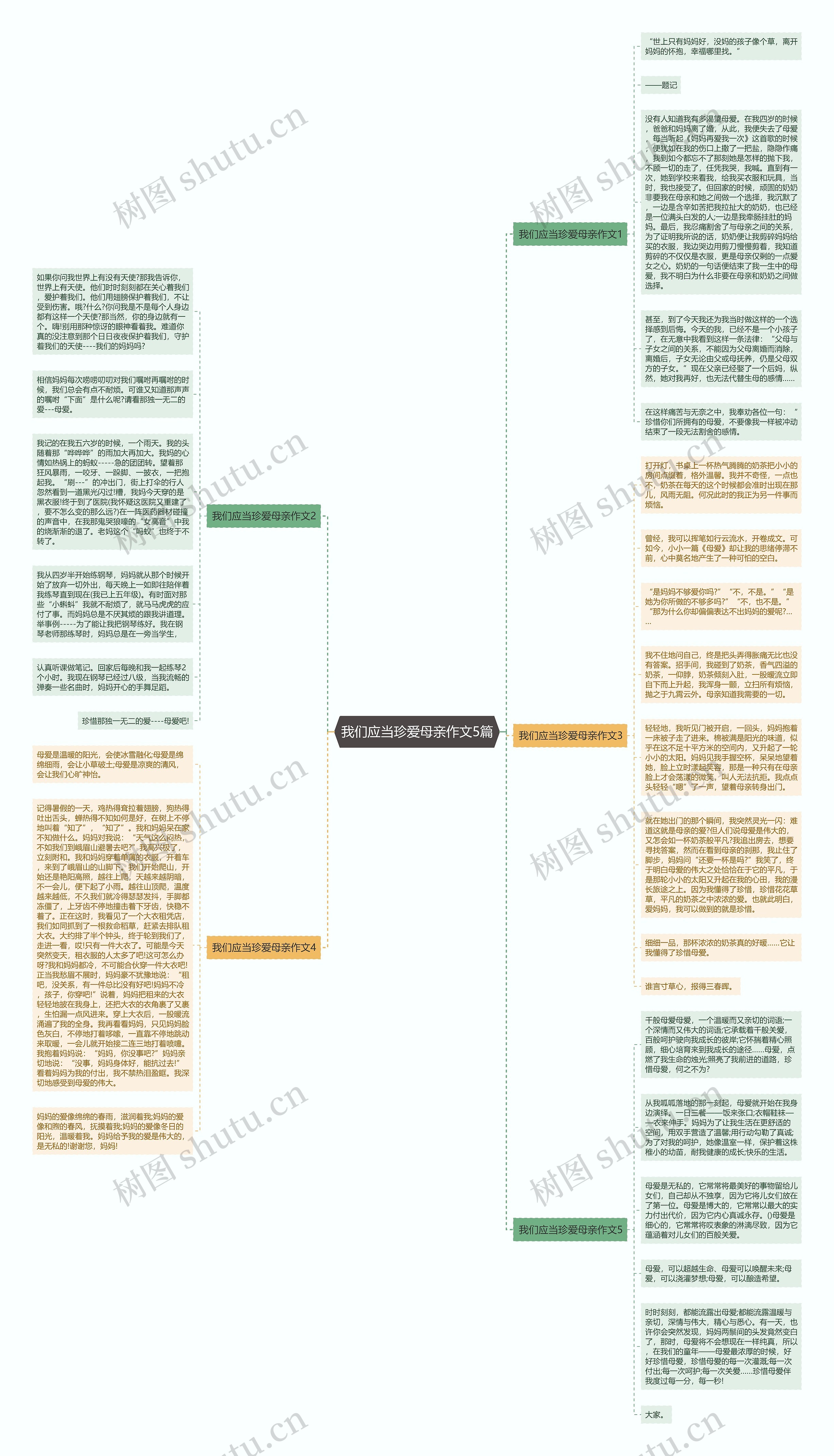 我们应当珍爱母亲作文5篇思维导图