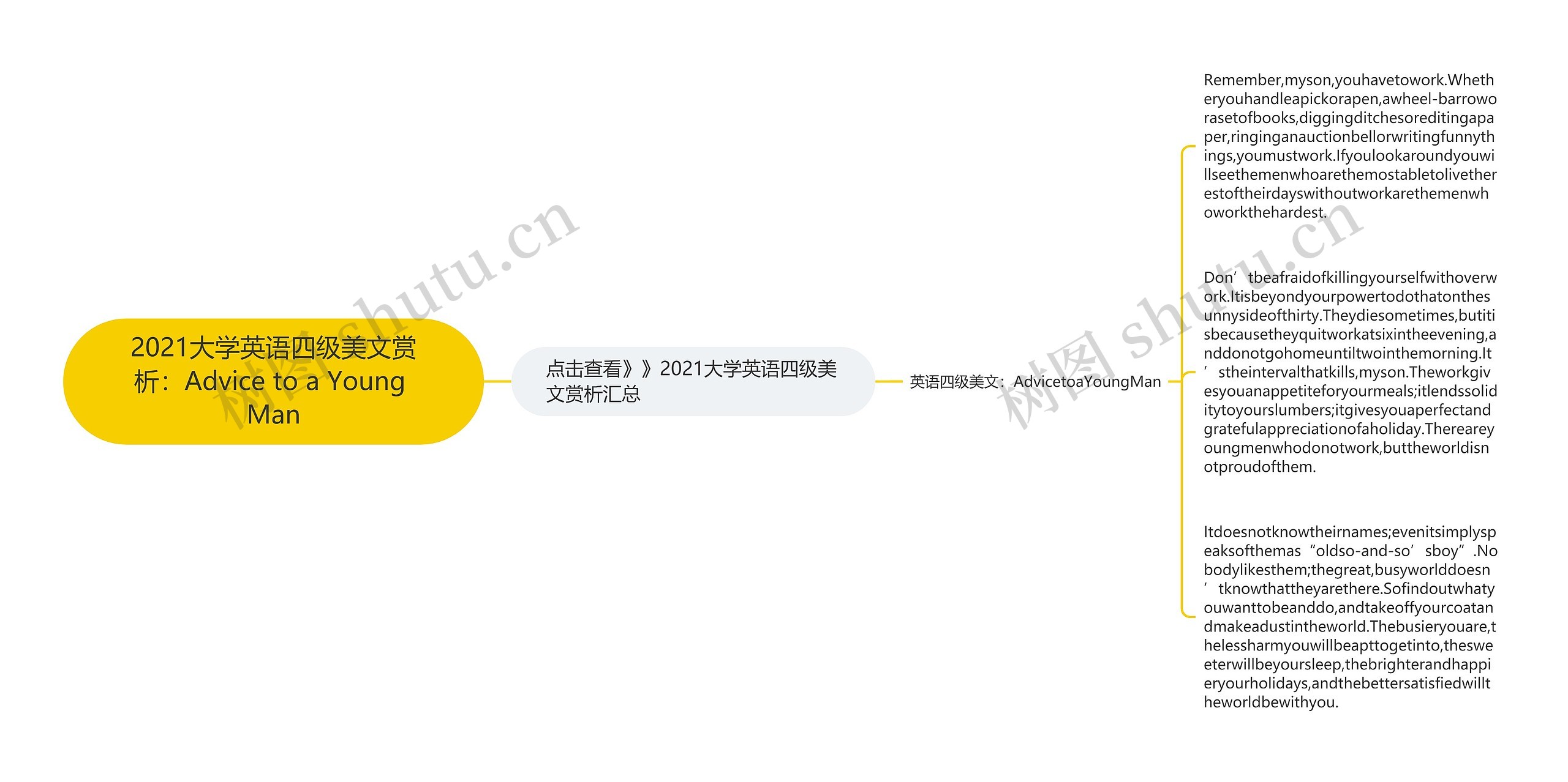 2021大学英语四级美文赏析：Advice to a Young Man
