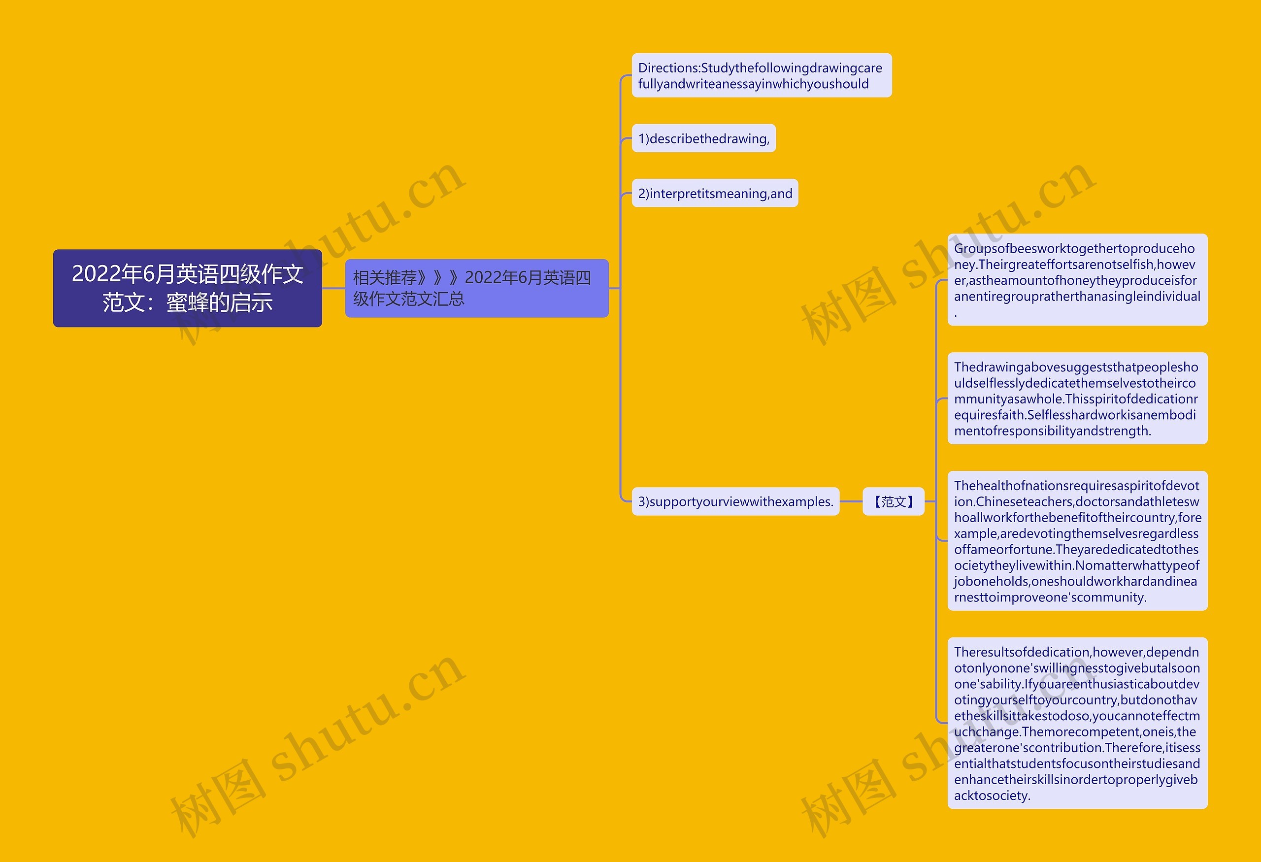 2022年6月英语四级作文范文：蜜蜂的启示思维导图