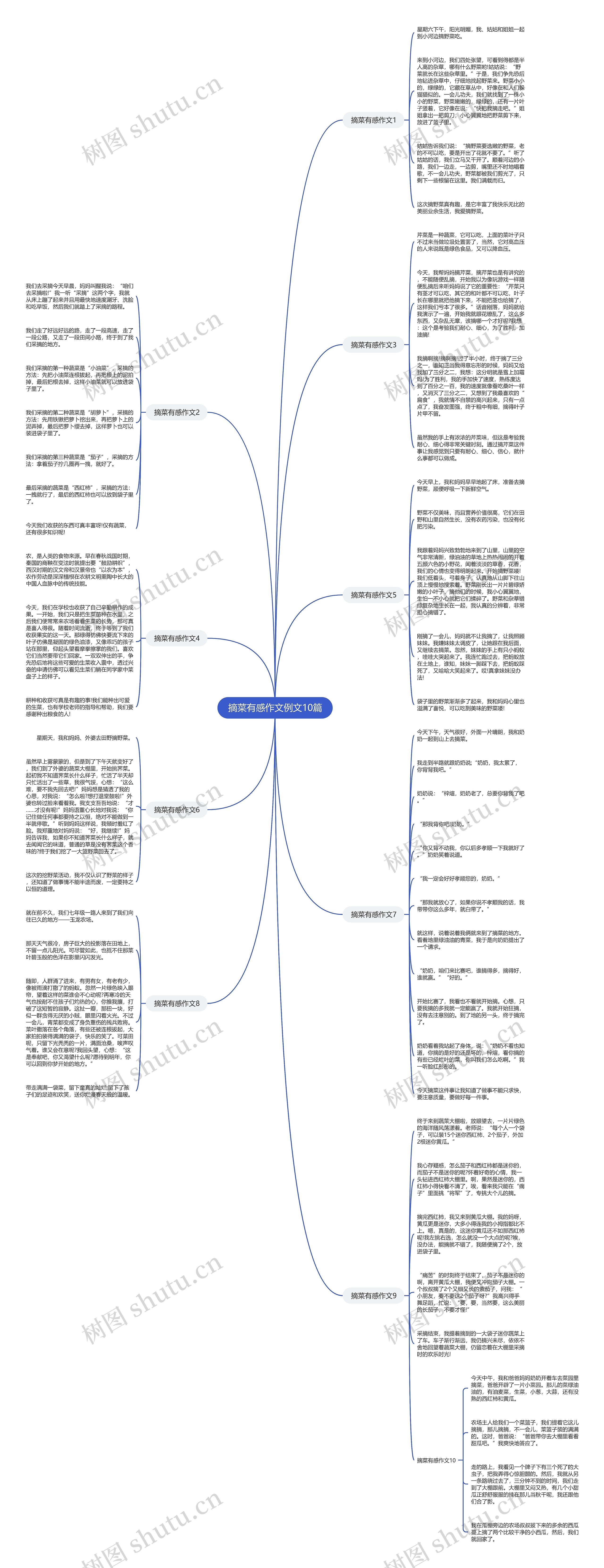 摘菜有感作文例文10篇思维导图