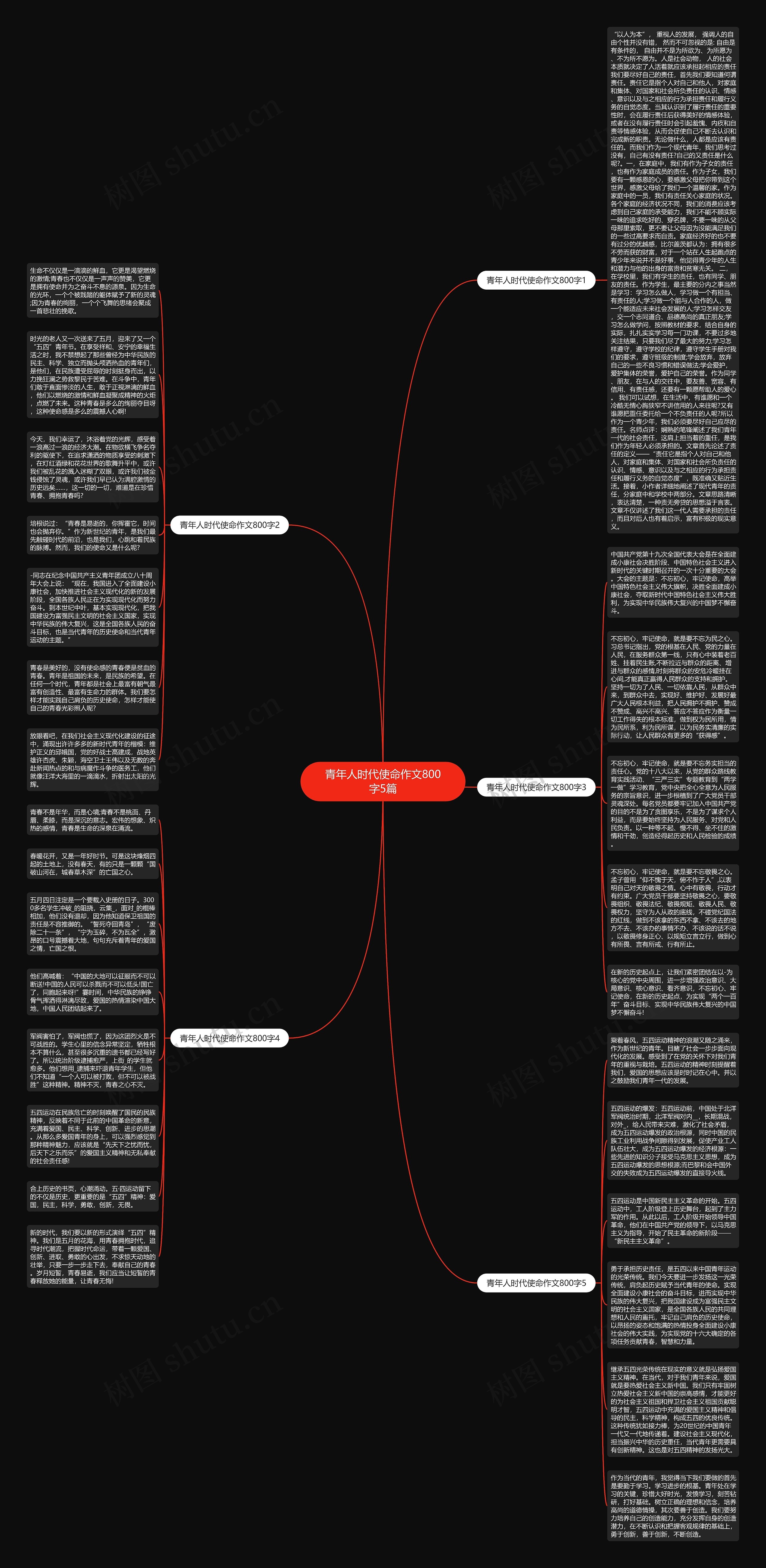 青年人时代使命作文800字5篇思维导图