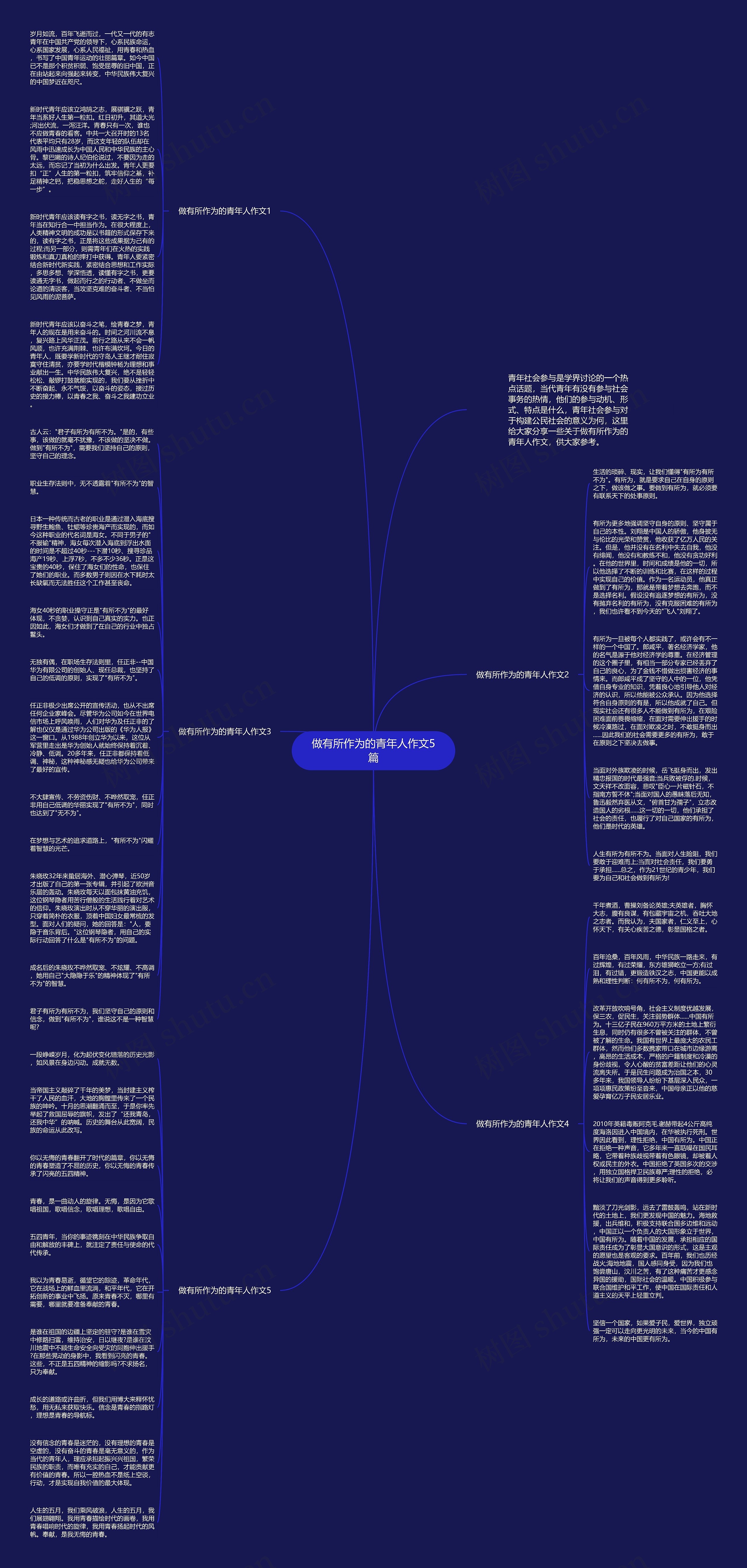 做有所作为的青年人作文5篇思维导图