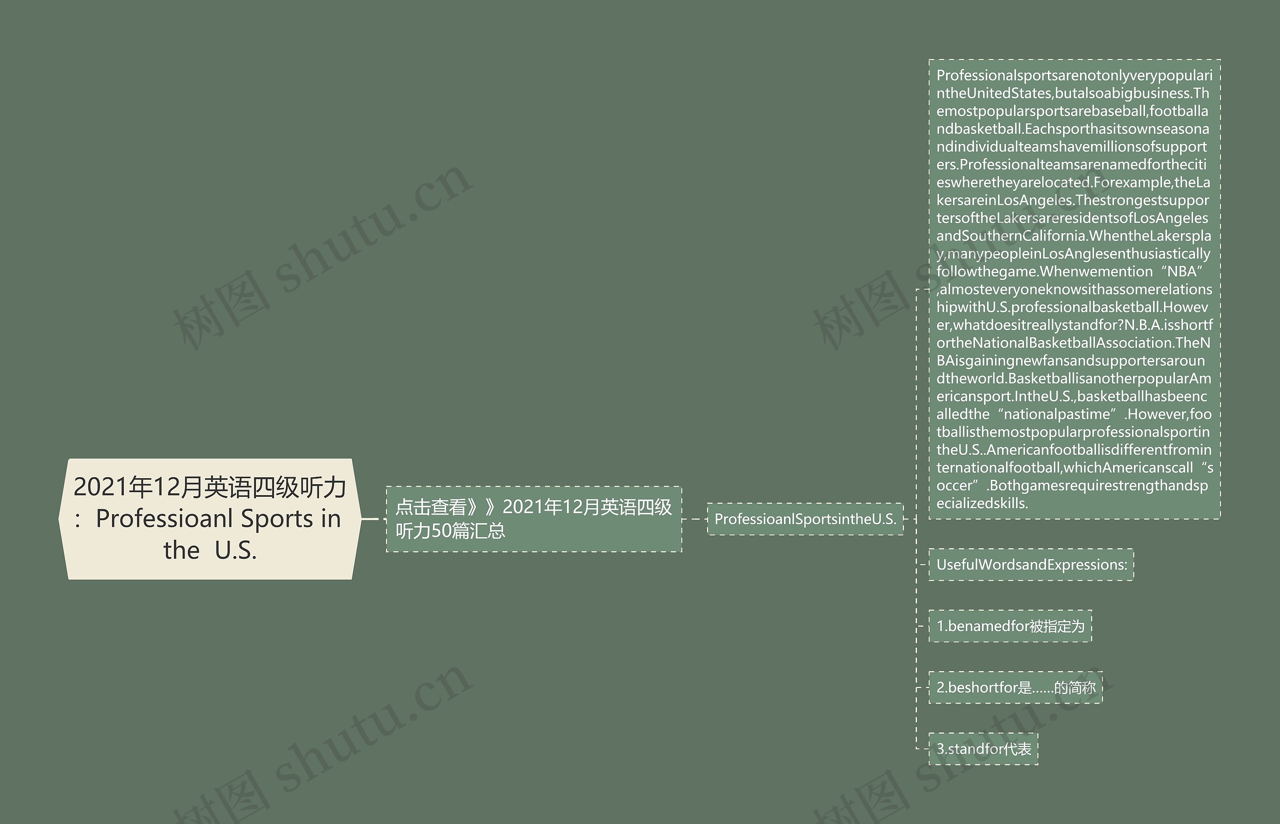 2021年12月英语四级听力：Professioanl Sports in the  U.S.