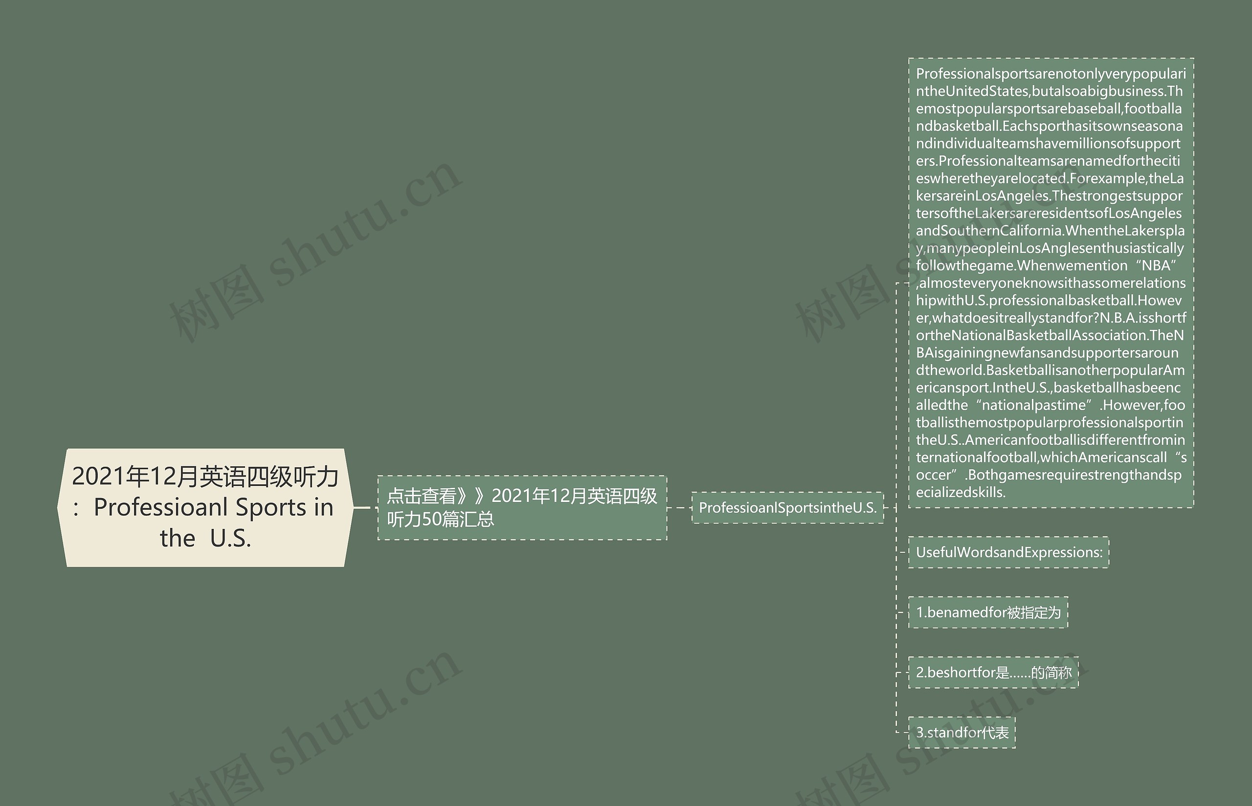 2021年12月英语四级听力：Professioanl Sports in the  U.S.思维导图