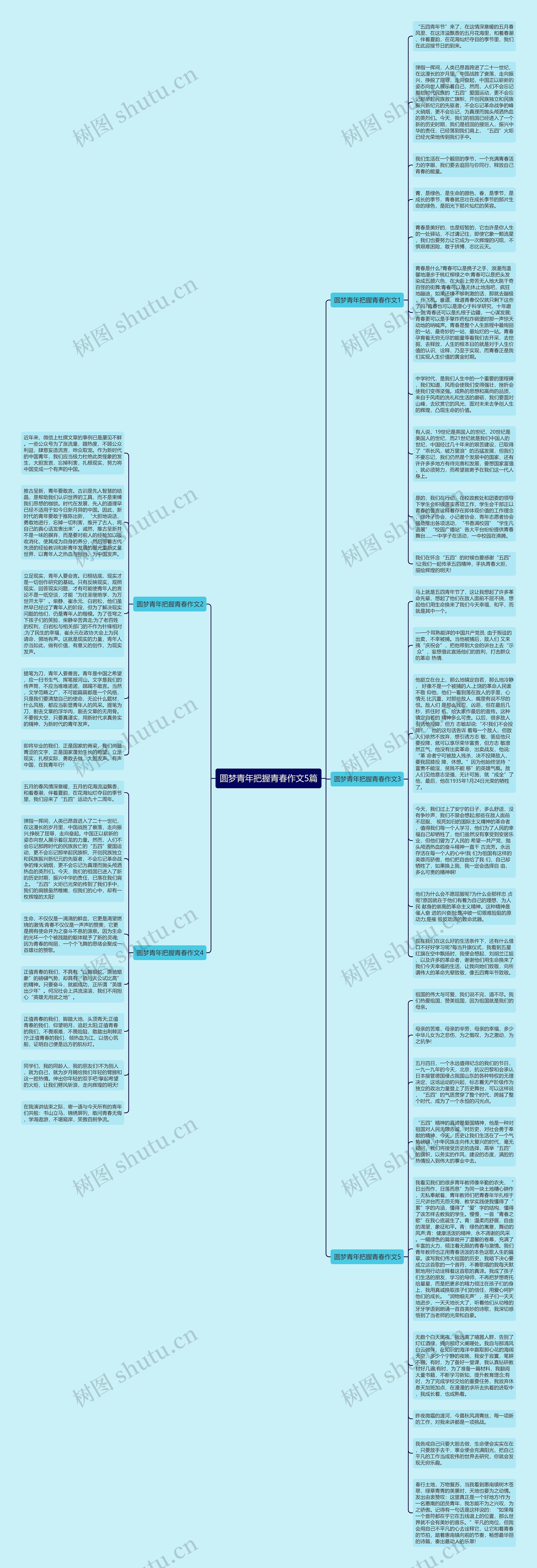 圆梦青年把握青春作文5篇思维导图