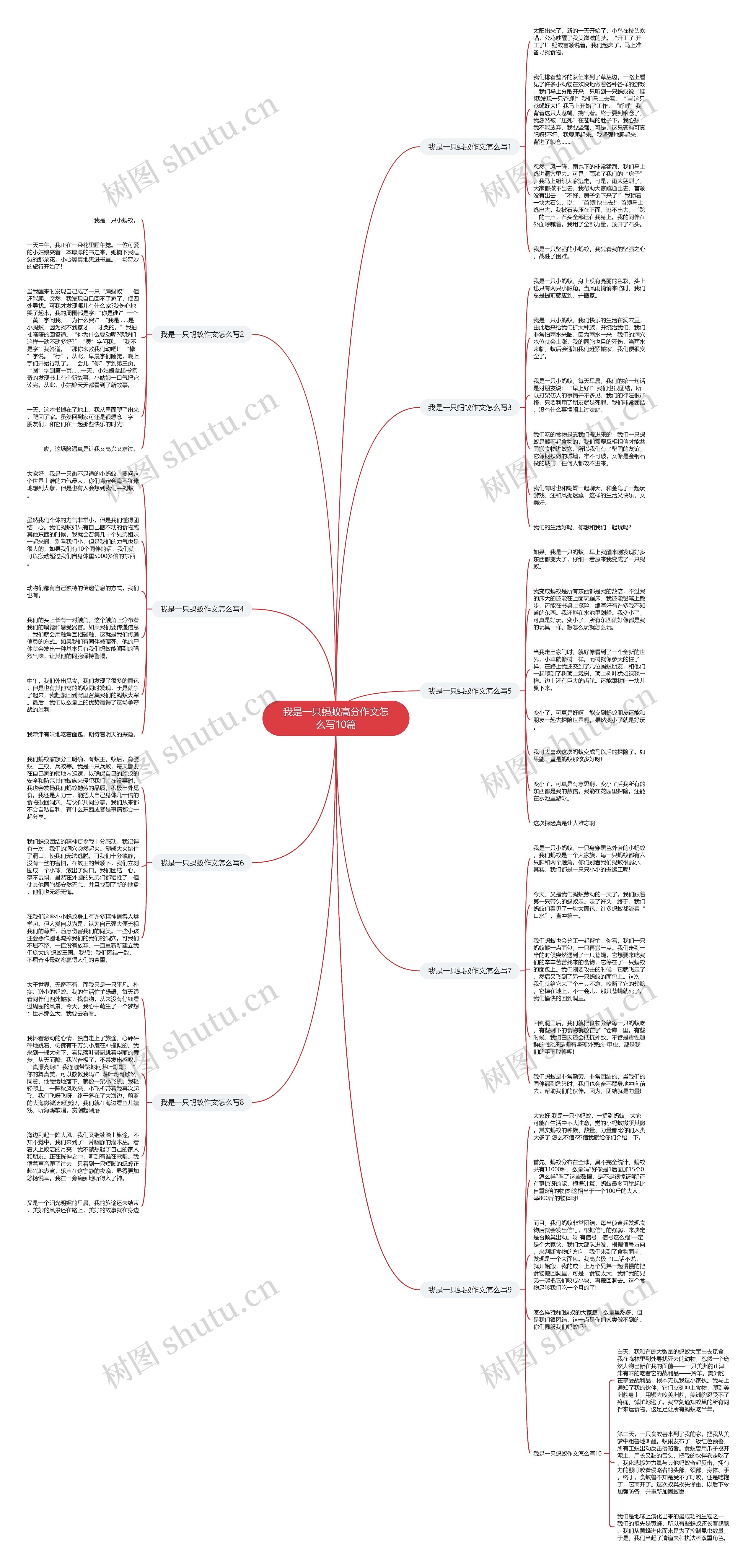 我是一只蚂蚁高分作文怎么写10篇思维导图