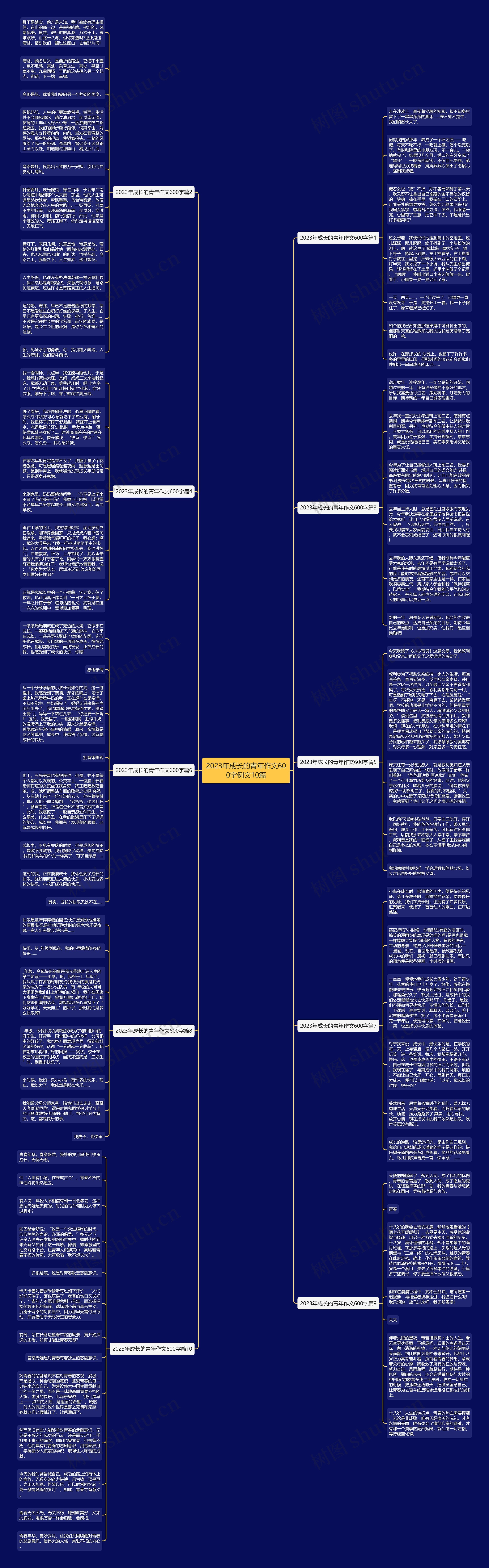 2023年成长的青年作文600字例文10篇思维导图