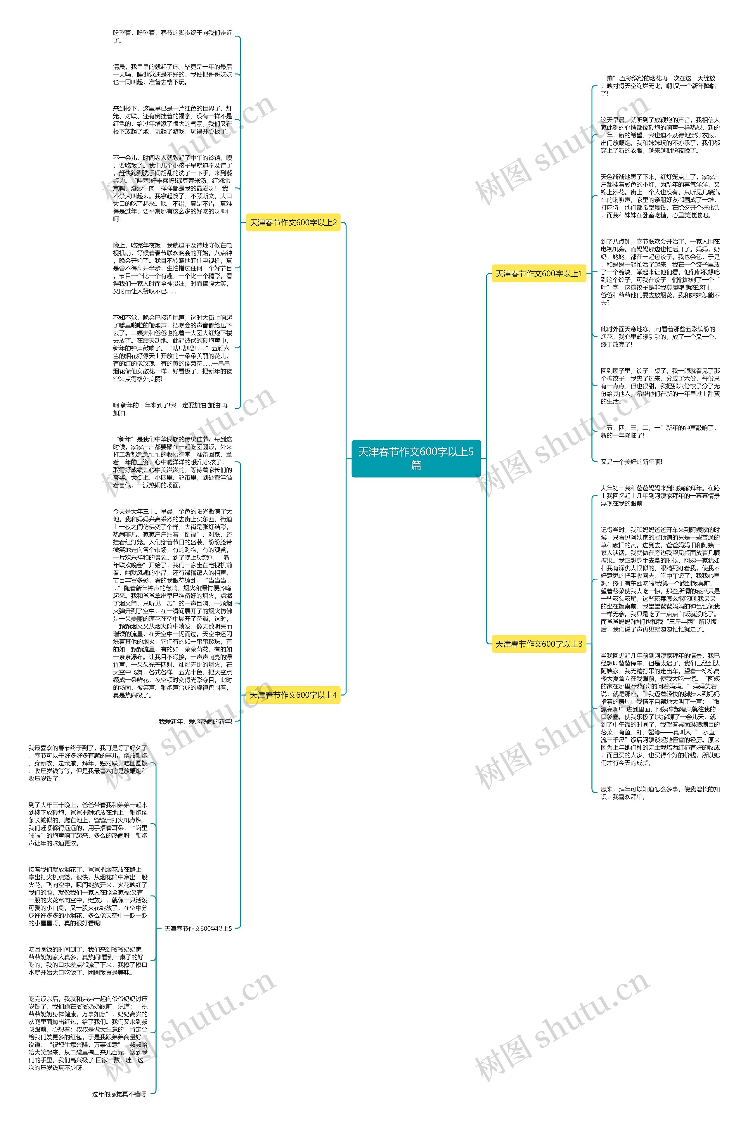 天津春节作文600字以上5篇思维导图
