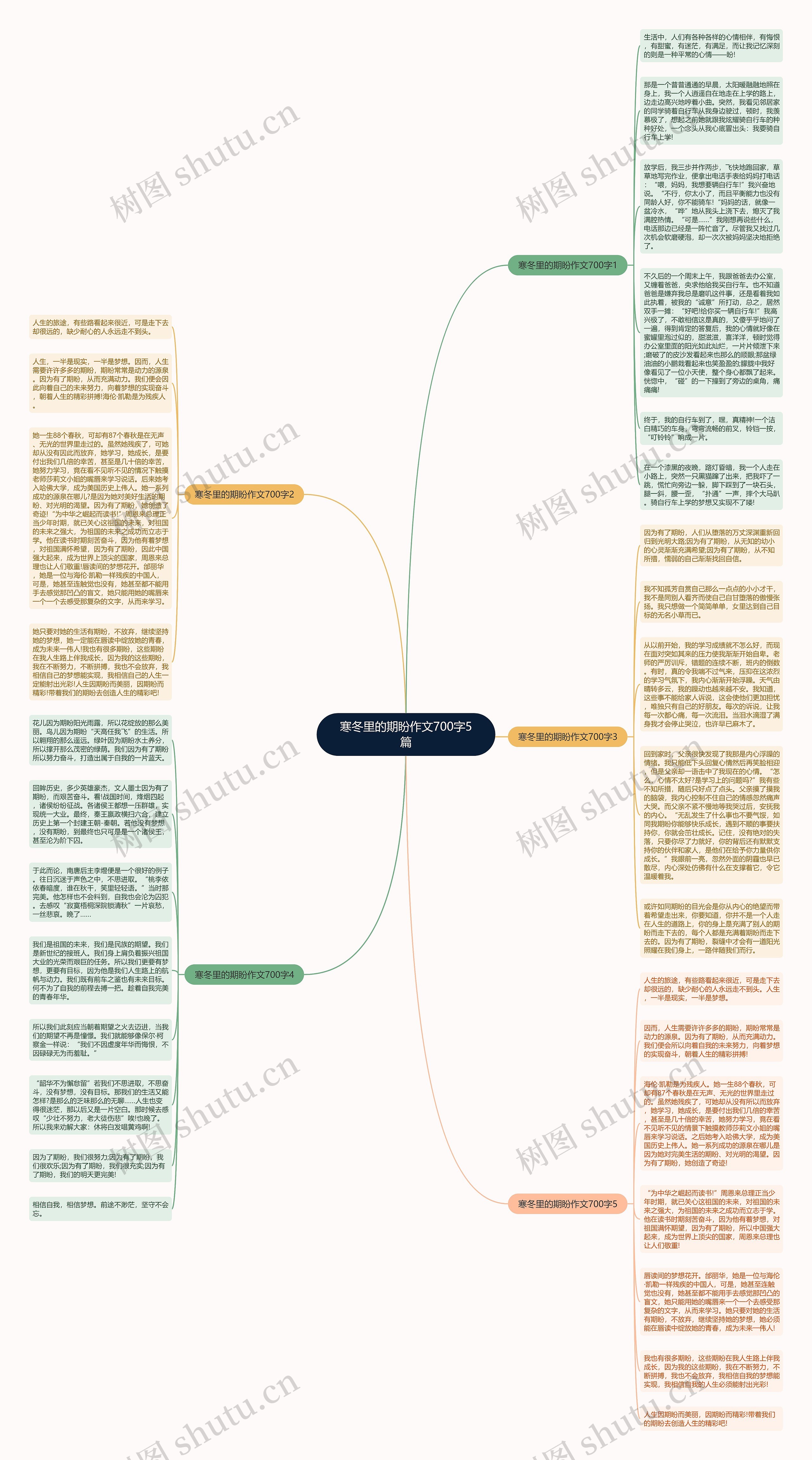 寒冬里的期盼作文700字5篇思维导图